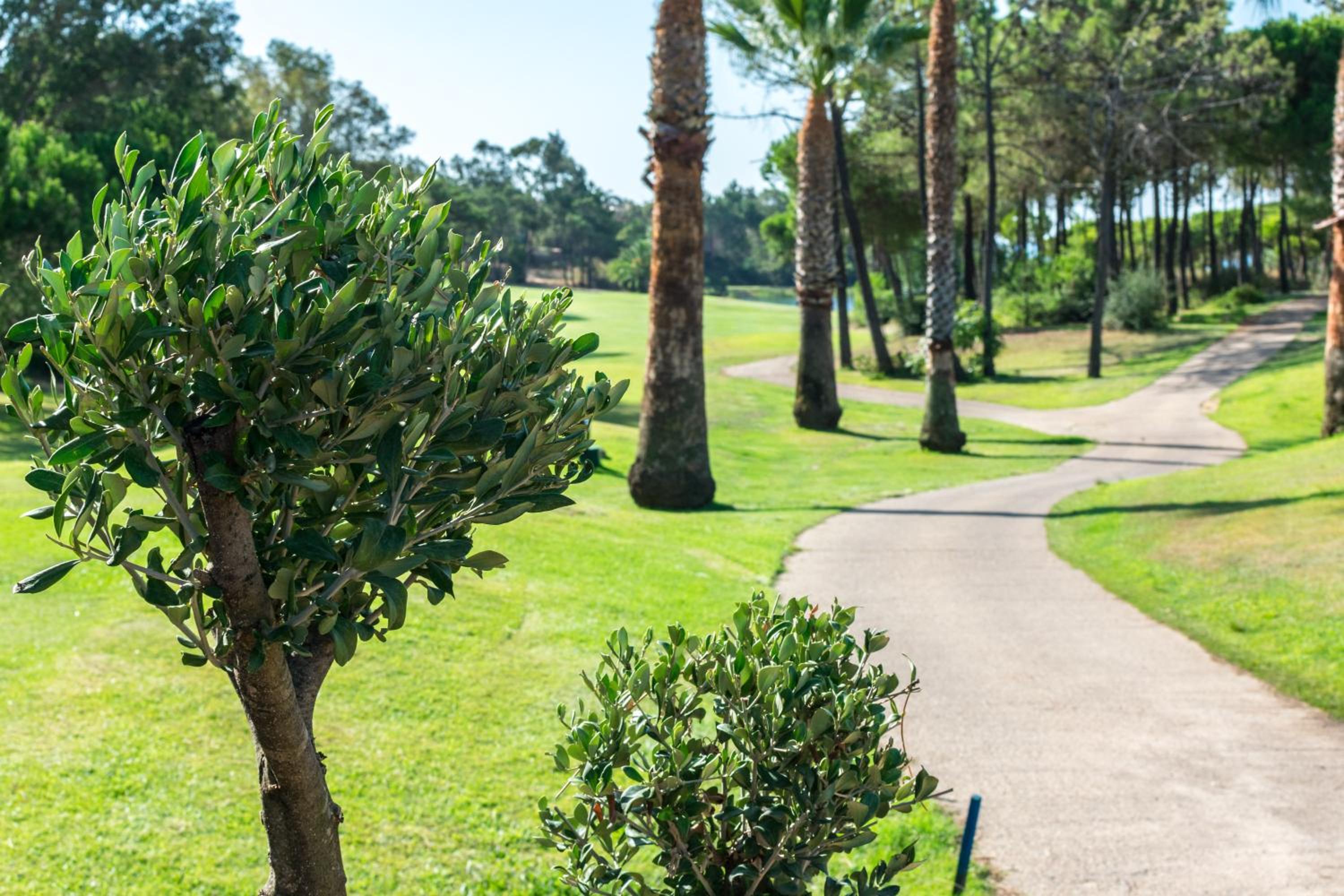 Disfrute de las playas y el golf en nuestro adosado en Islantilla - Costa de la Luz view 4