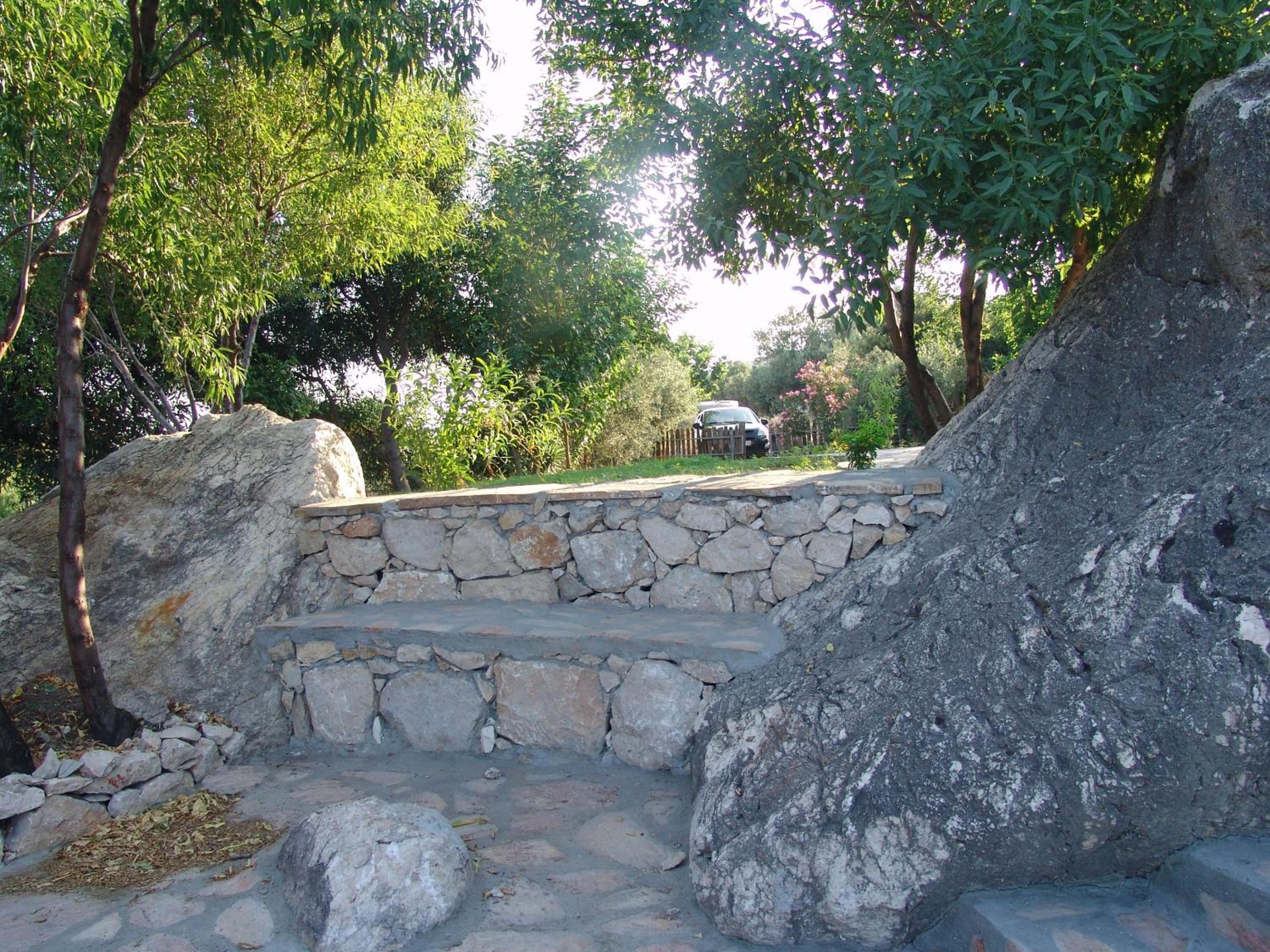 Photo 12