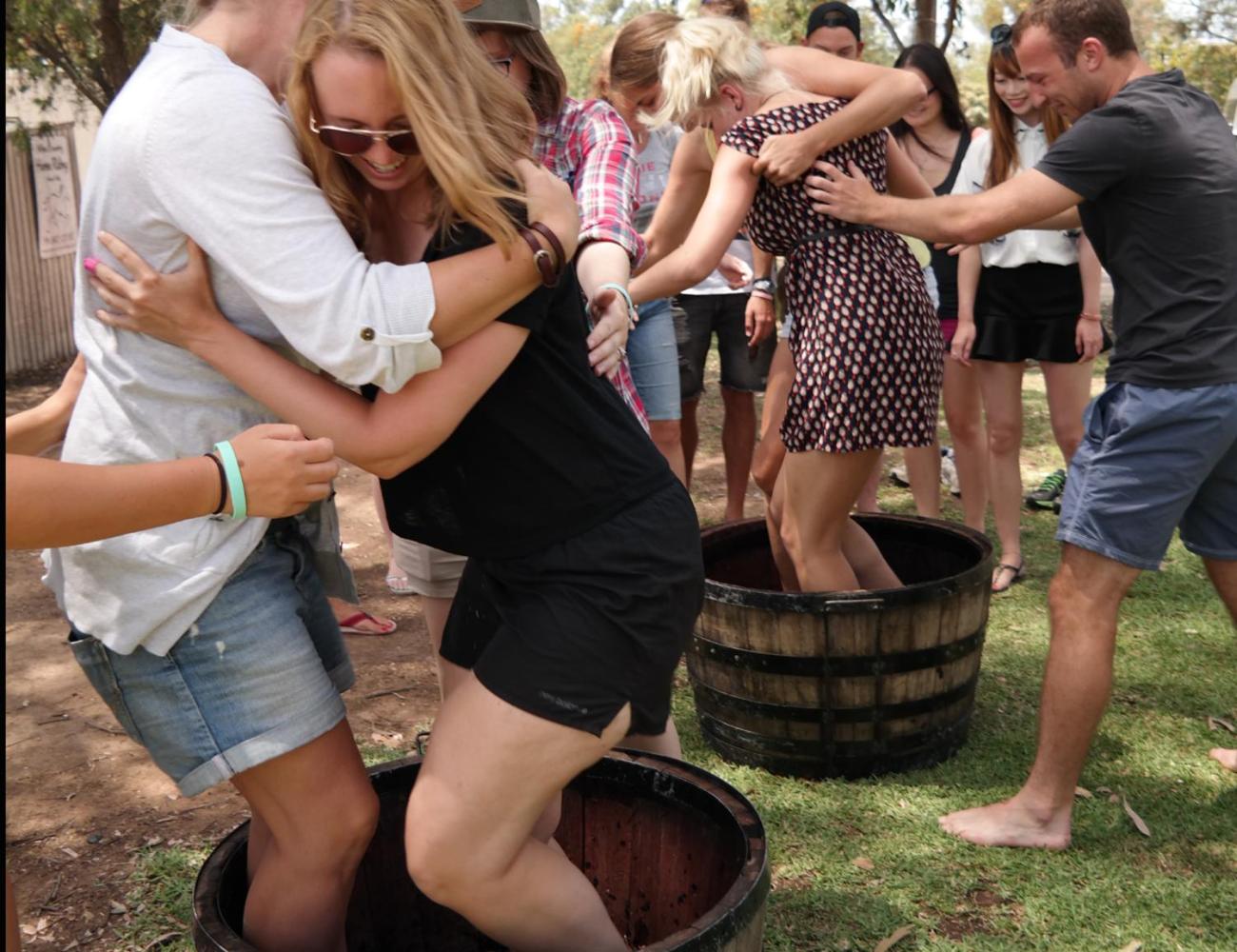 Hunter Valley Resort, Hunter Farm Adventure Centre & 4 Pines at the Farm