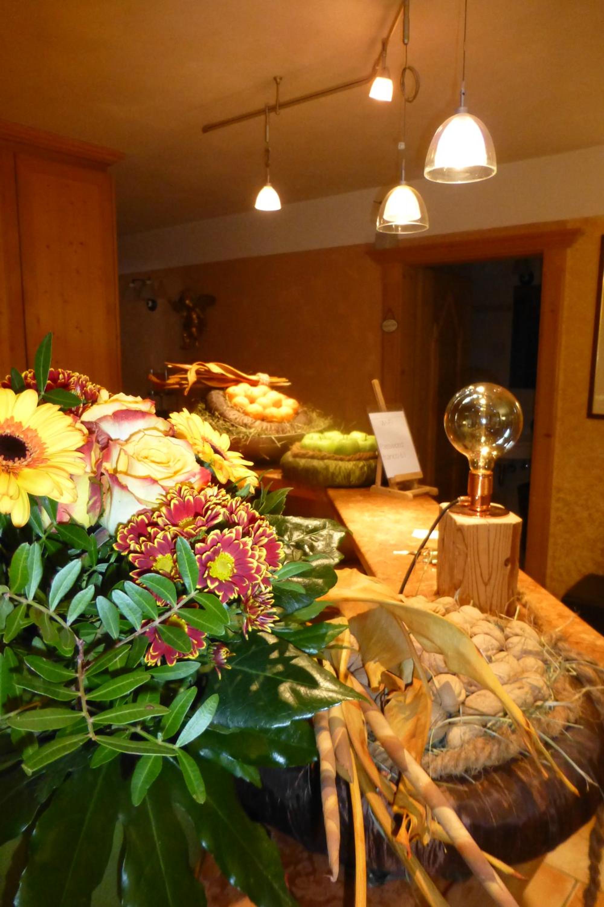 B&B Tamarindo