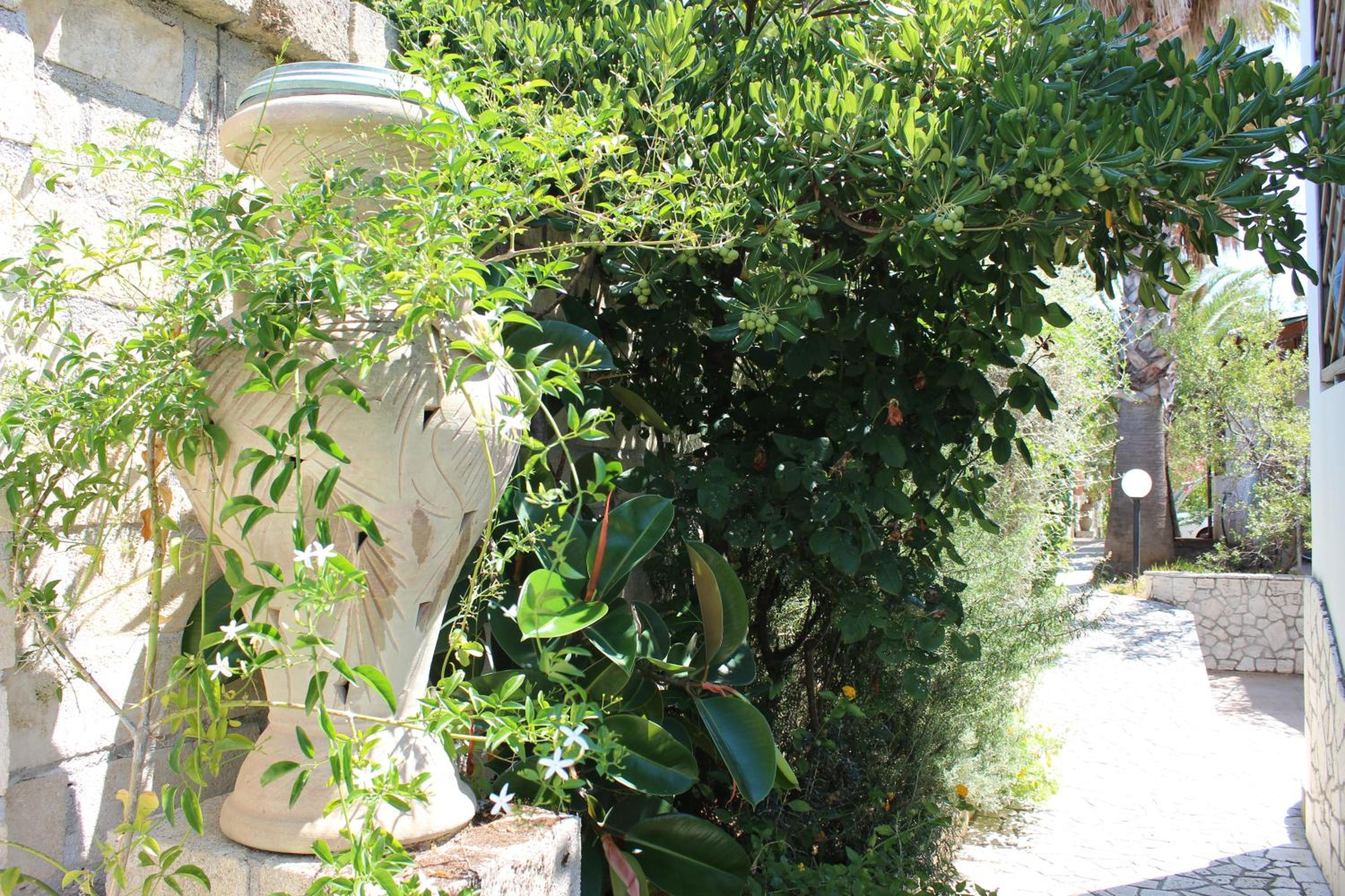 Villa Tiarè photo 2