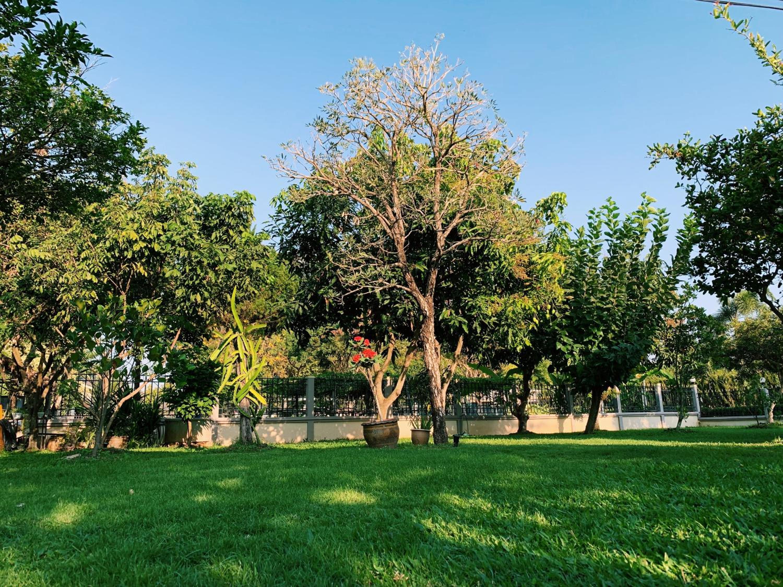 RiverTree House