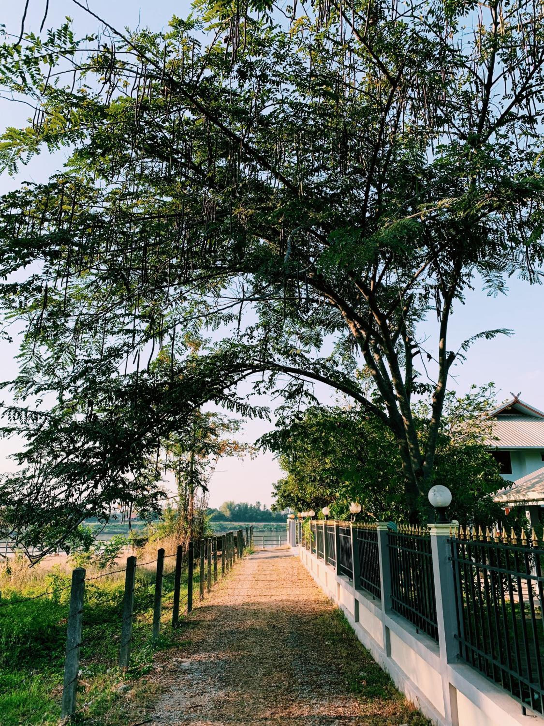 RiverTree House