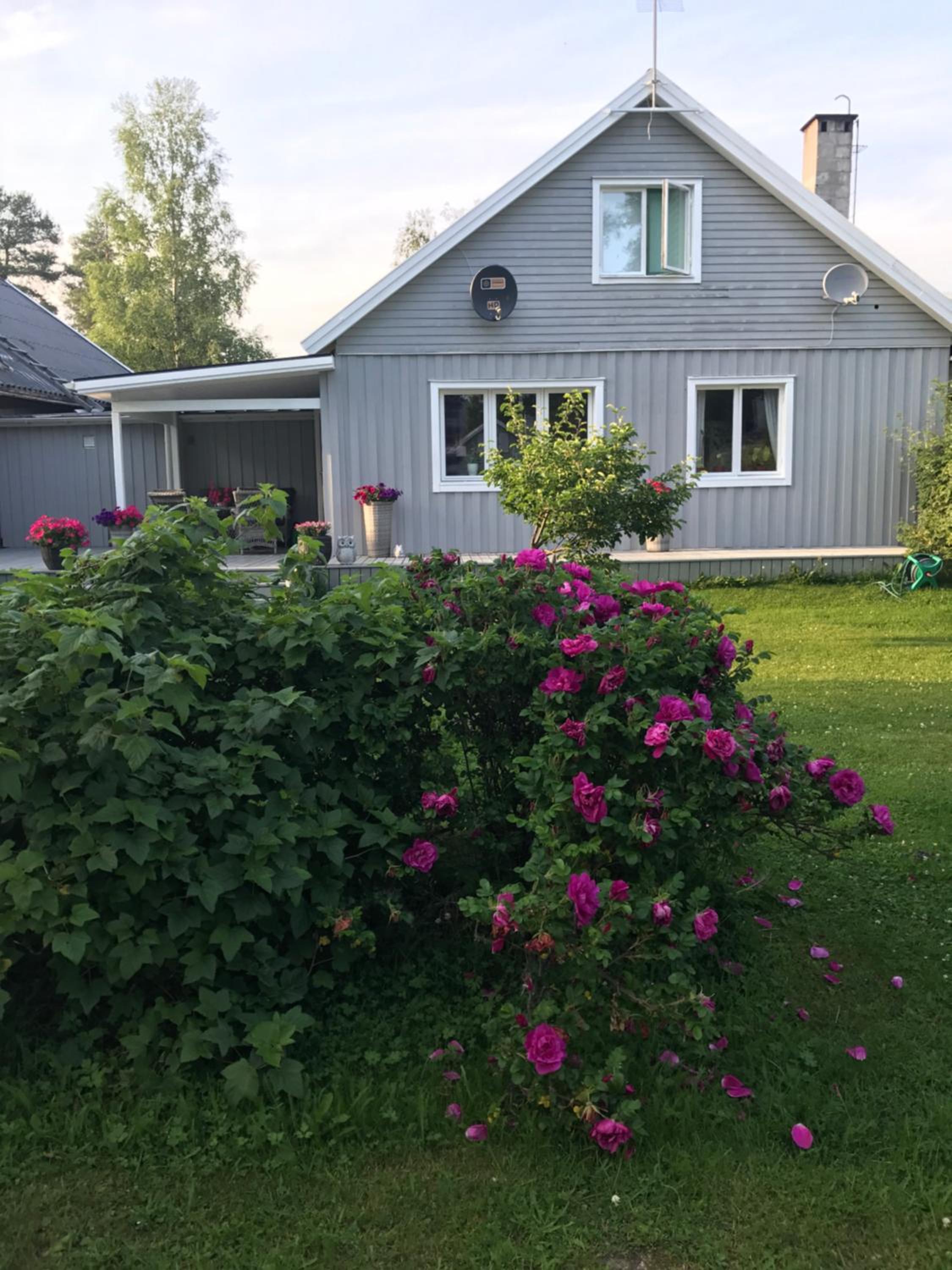 Photo 39