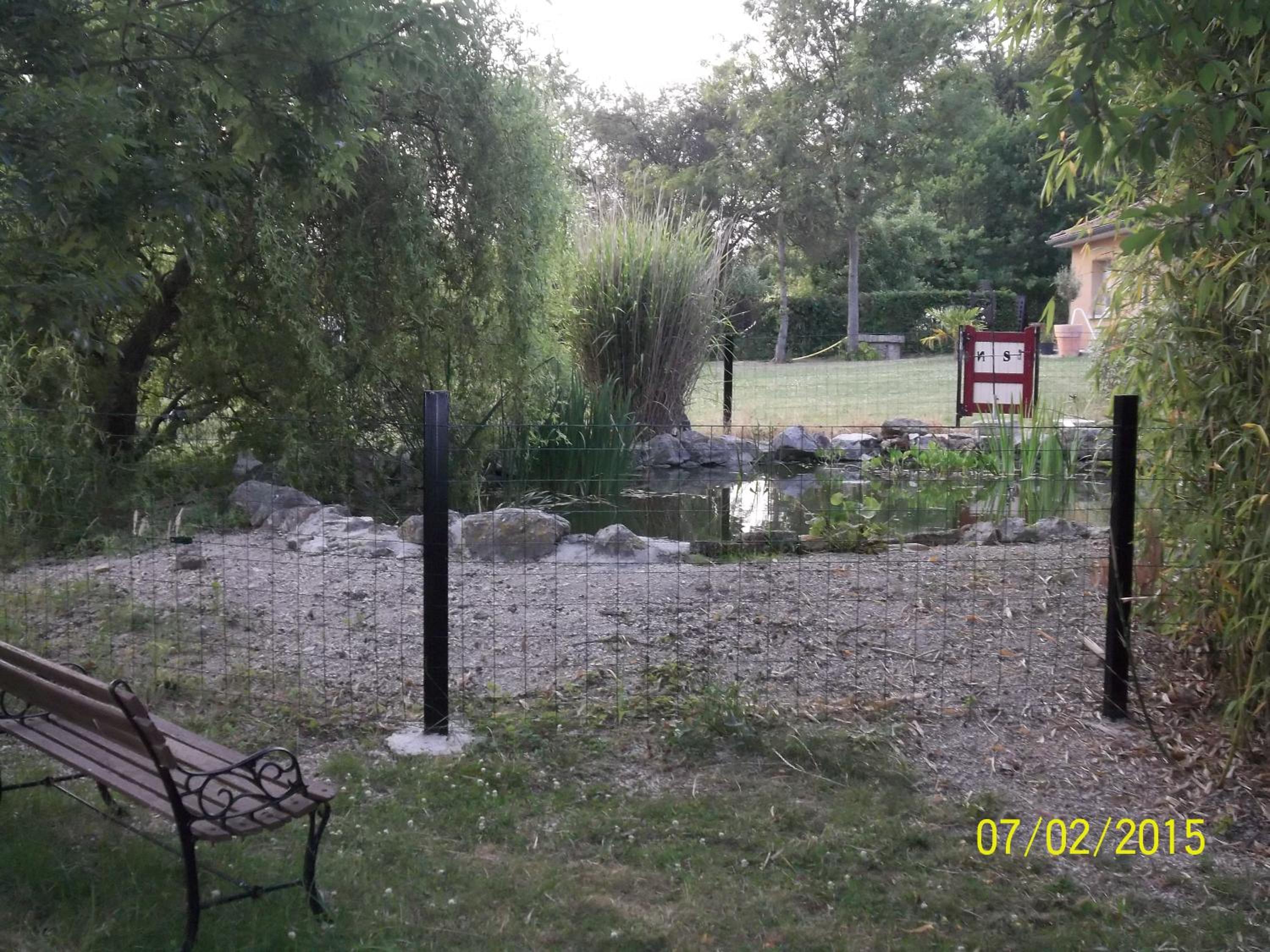 Photo 13