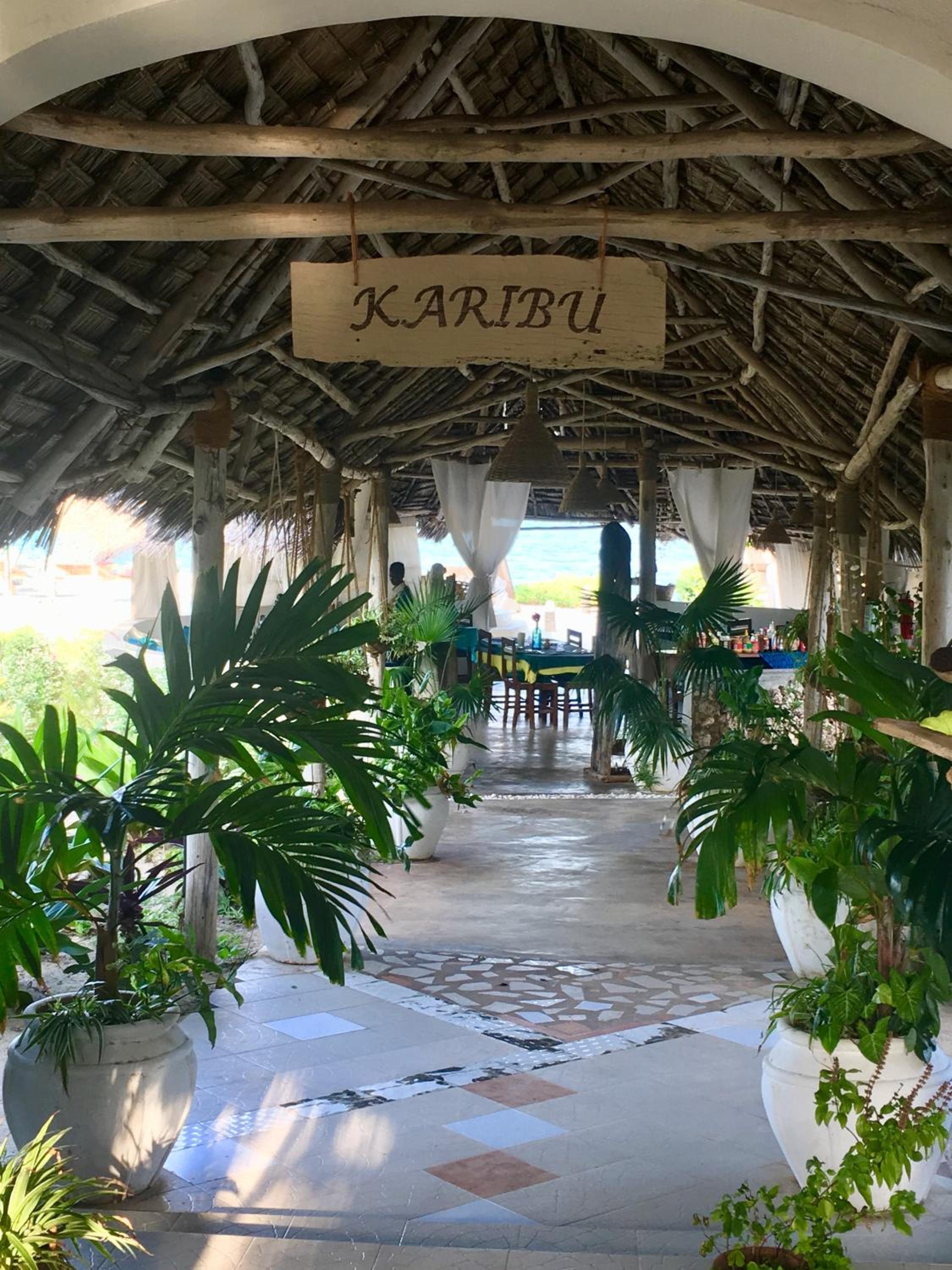 Driftwood Beach Lodge