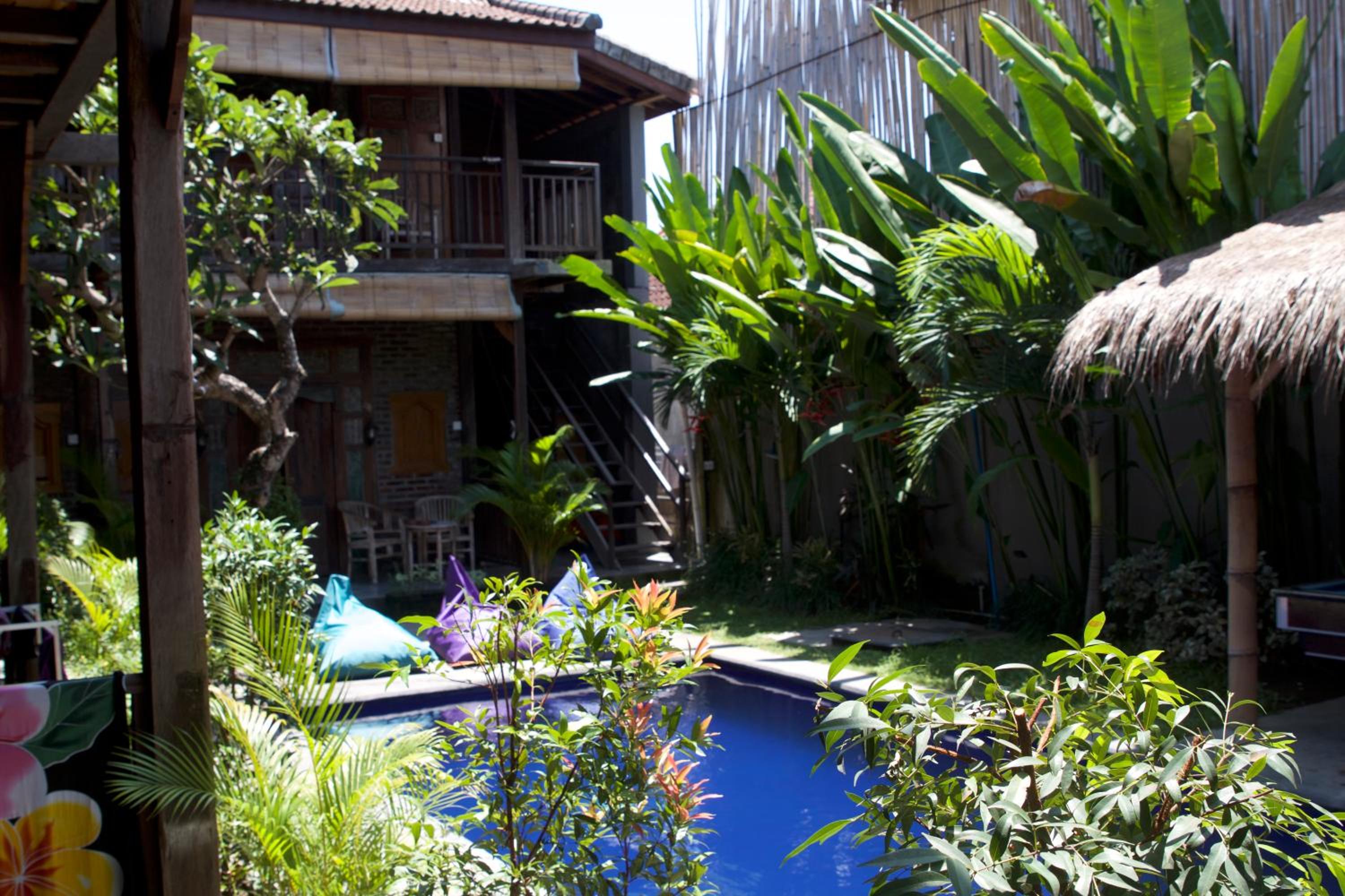 Tropical Canggu Hostel view 4