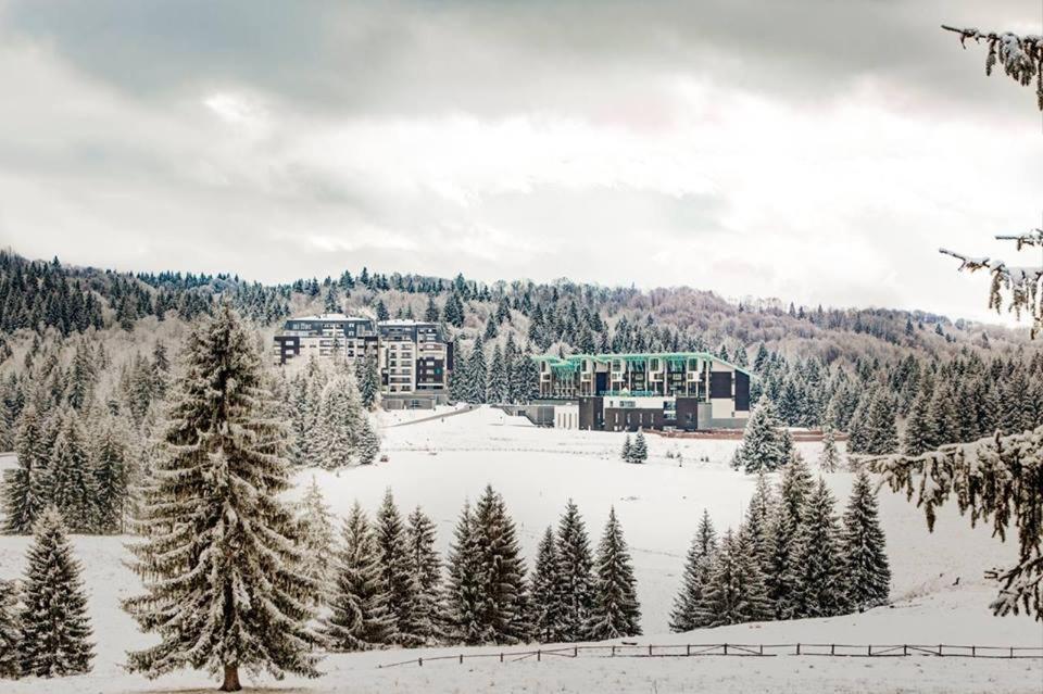Silver Mountain G1 21 R view 4