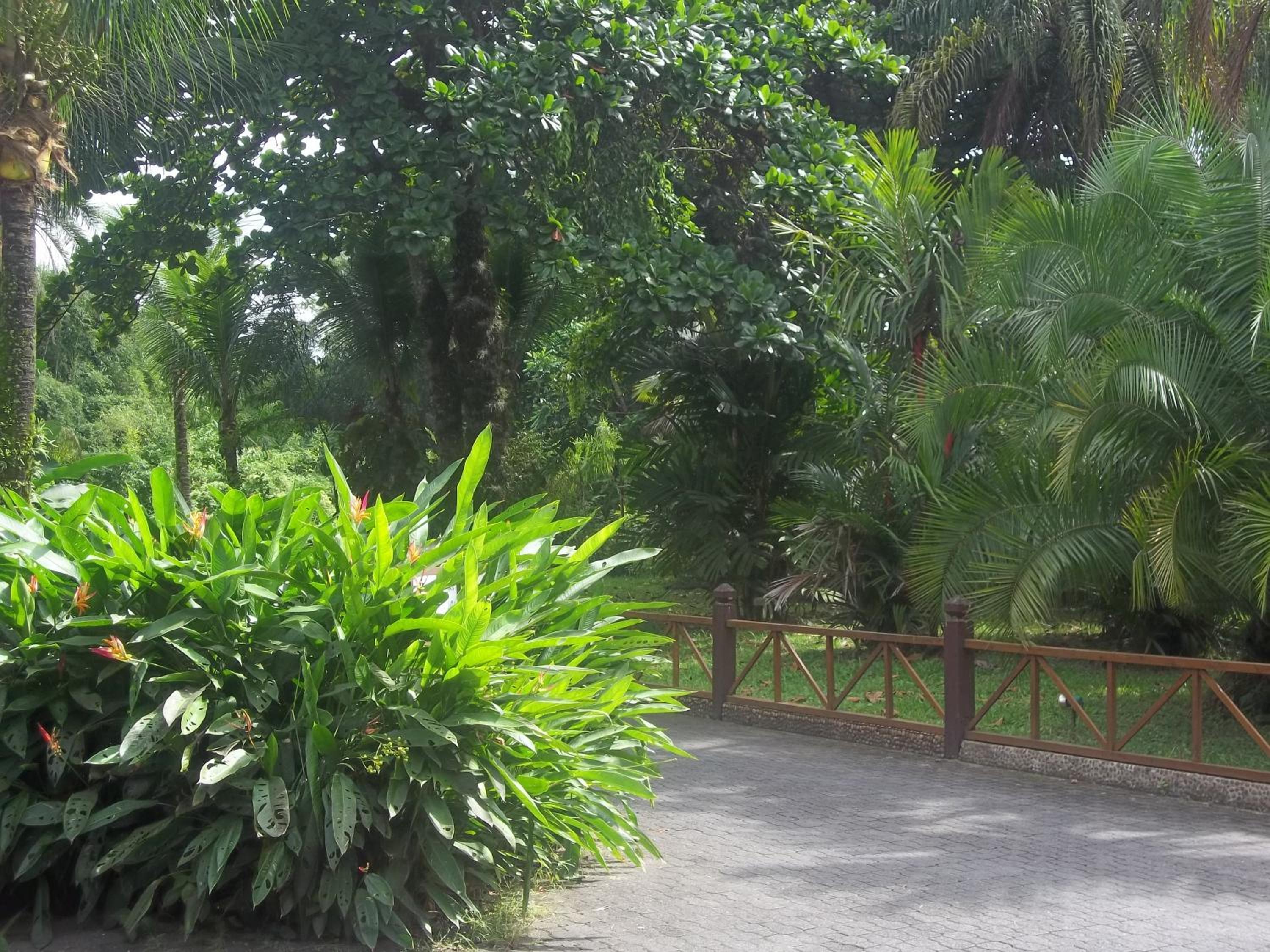 Photo 13