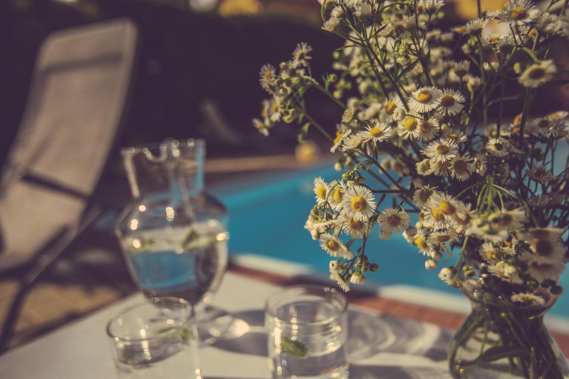 Agriturismo I Surì Asti
