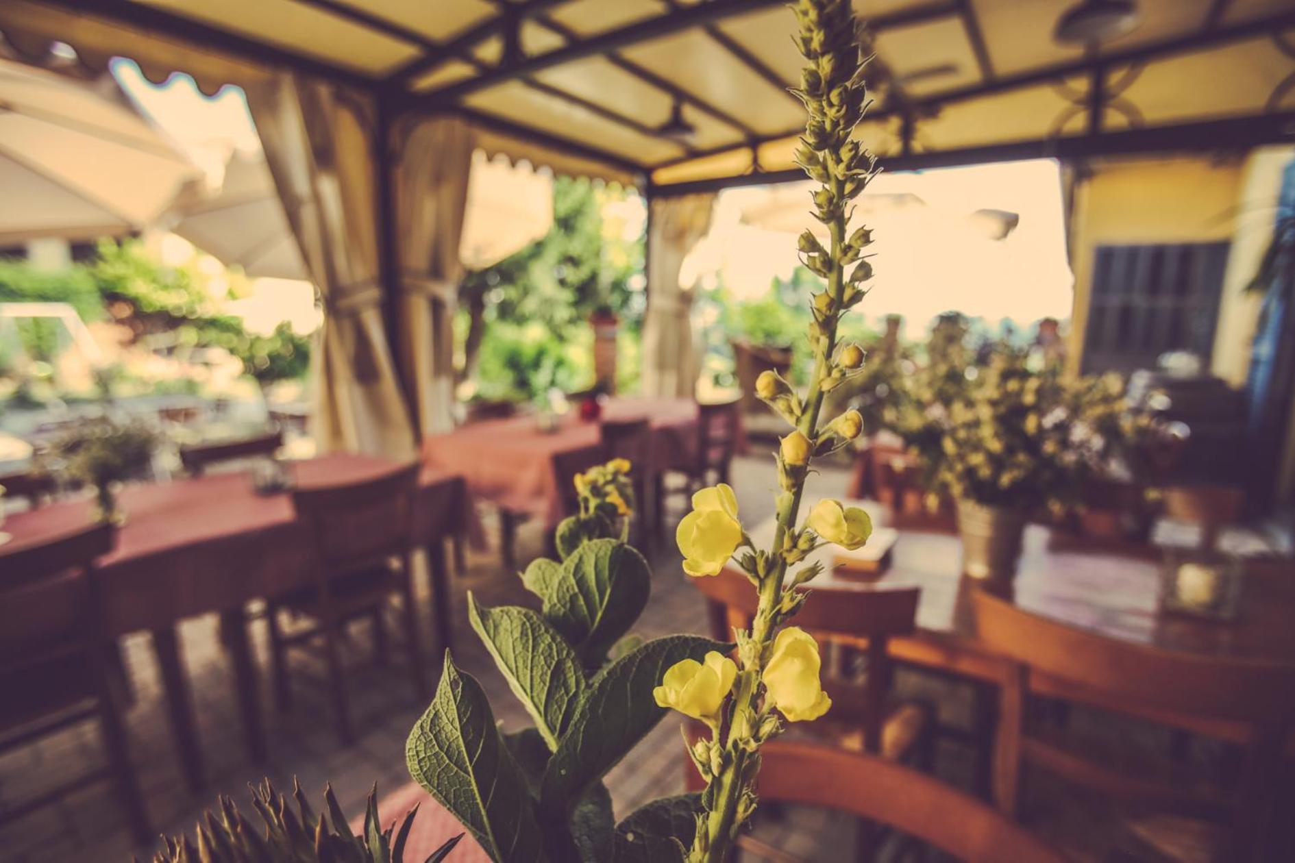 Agriturismo I Surì Asti