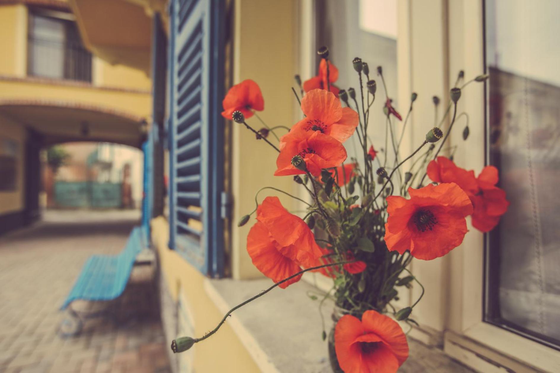 Agriturismo I Surì Asti