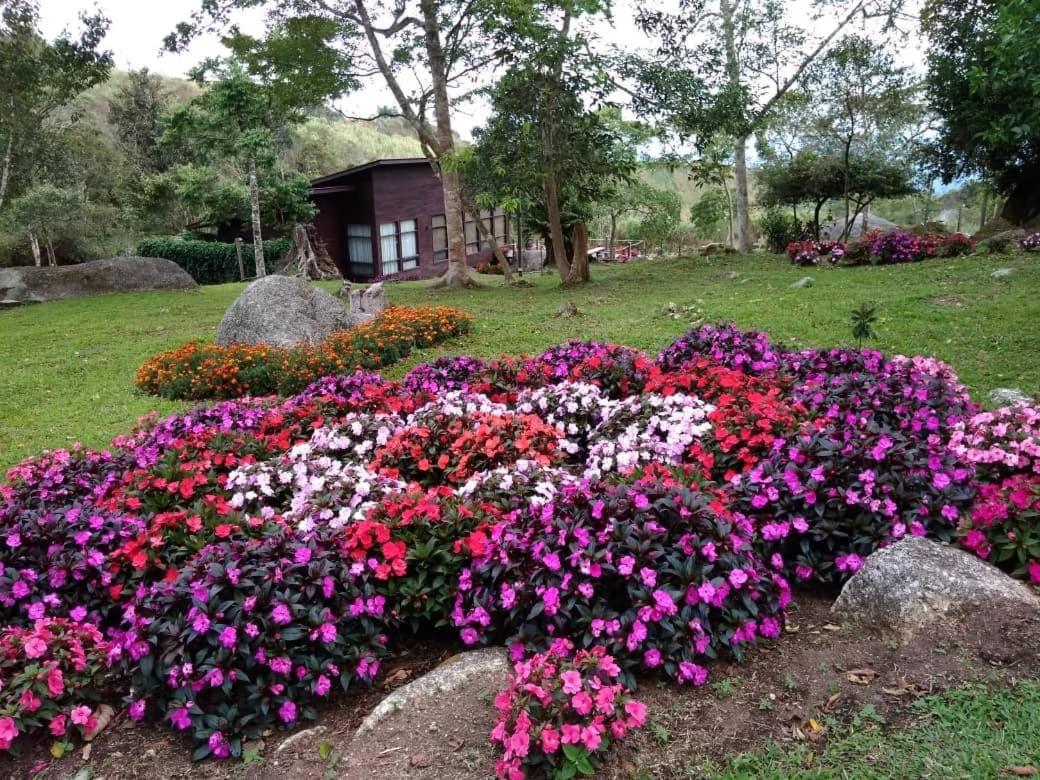 Spring Garden