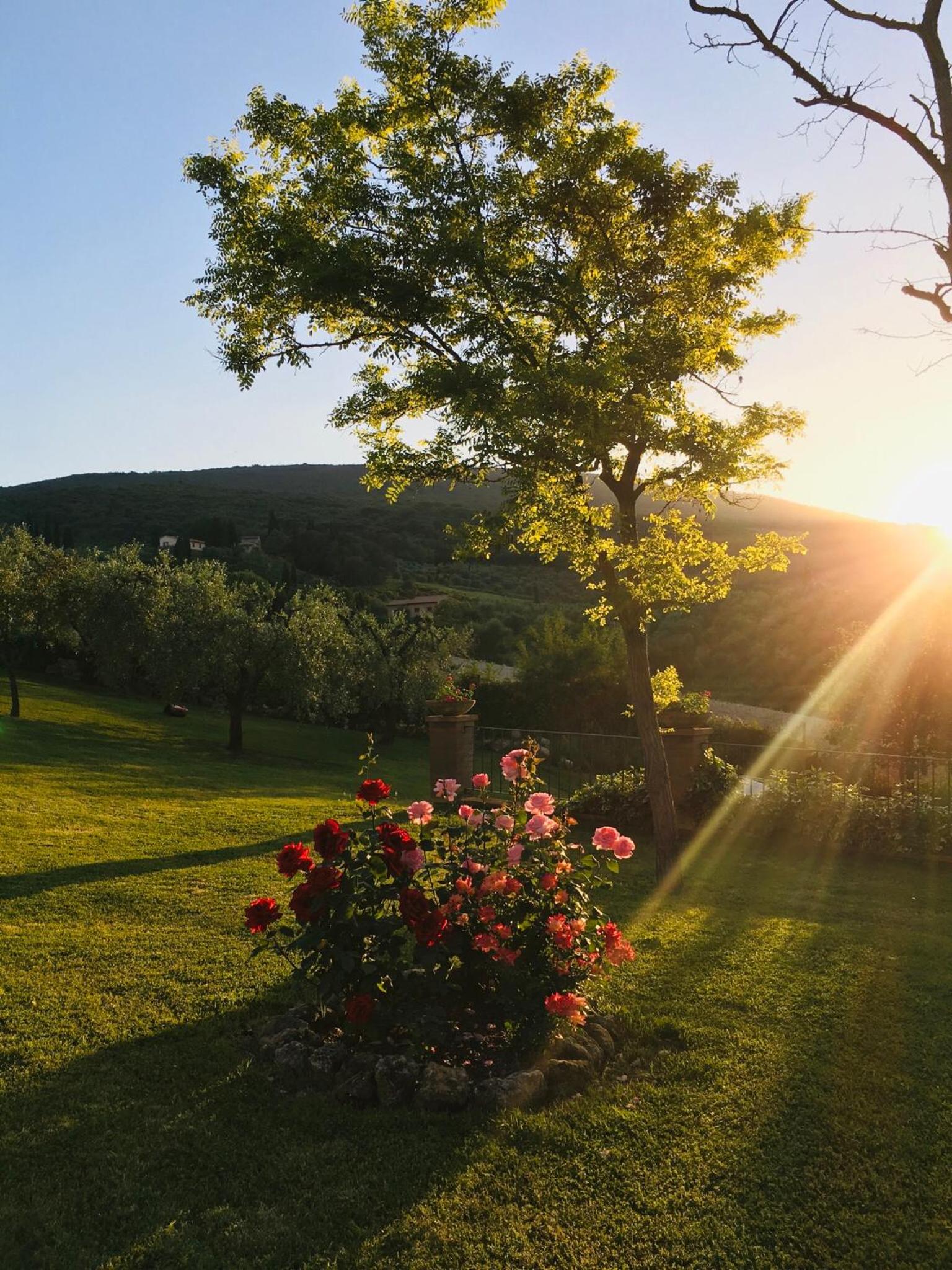 Podere Bellavista