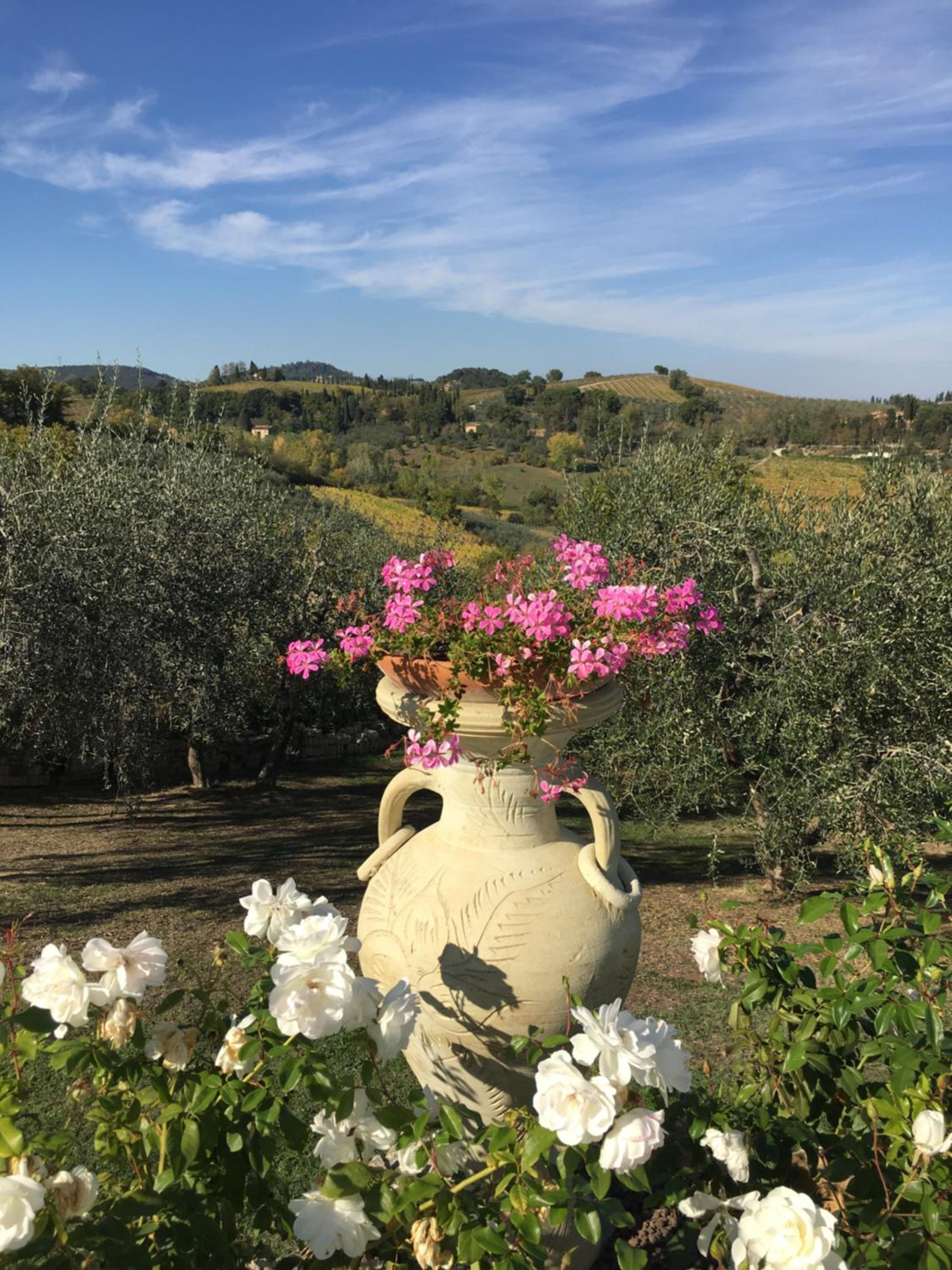 Podere Bellavista