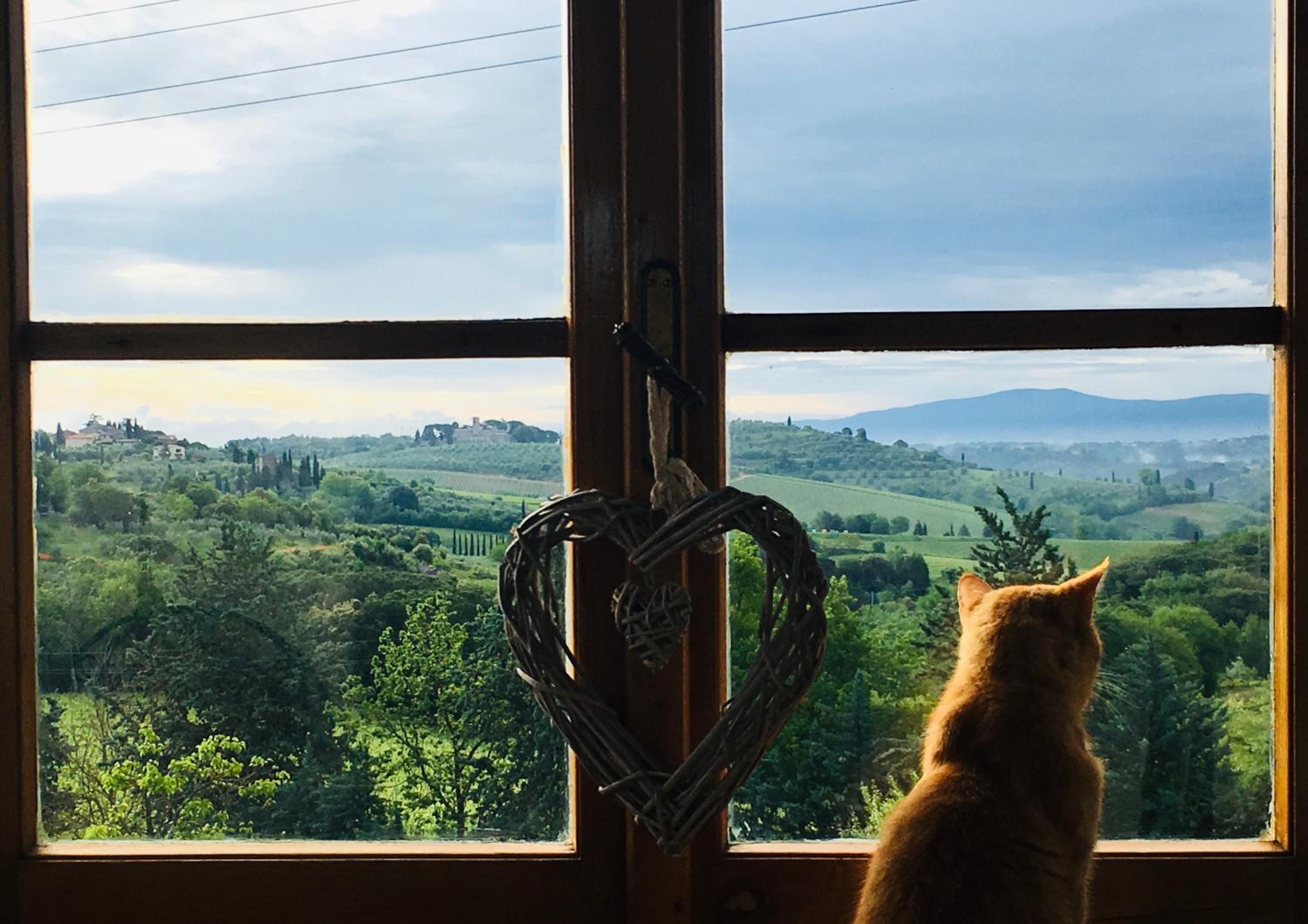 Podere Bellavista