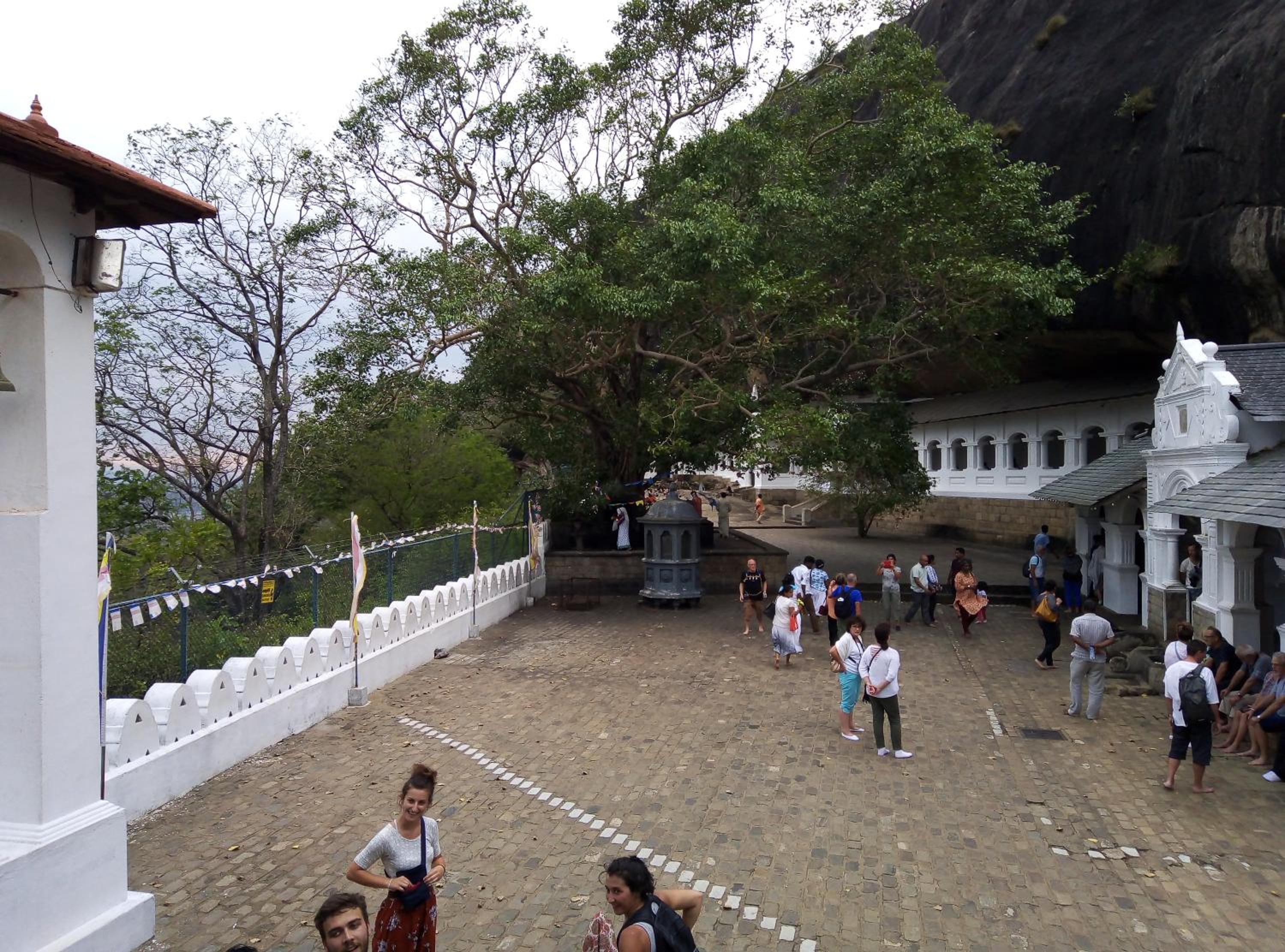 Photo 25