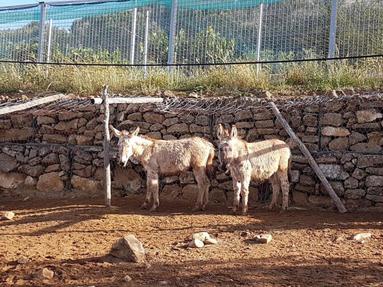 Agriturismo Il Drago