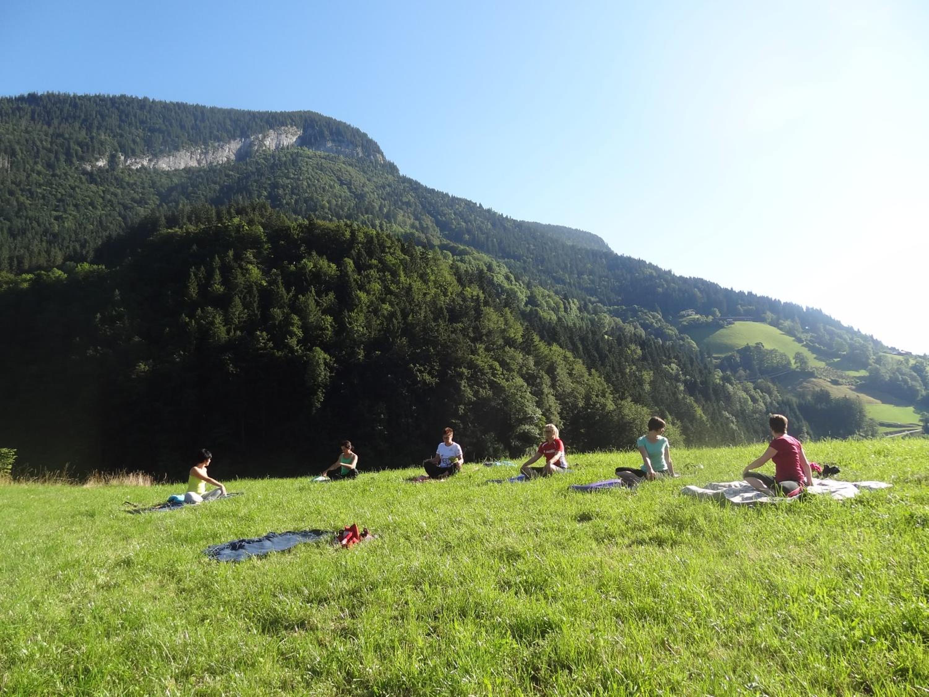 Friedlwirt-Kraftplatz Natur
