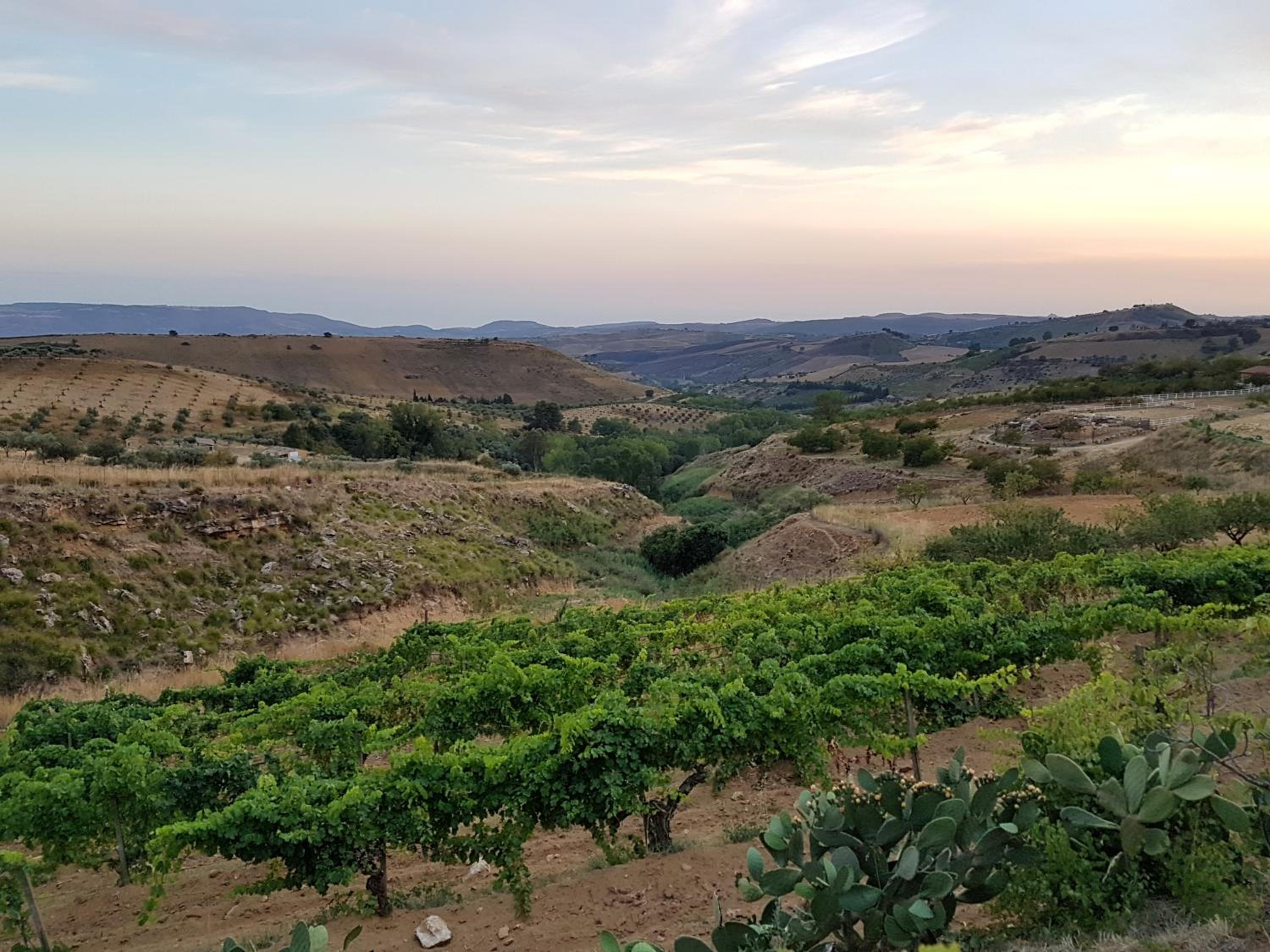 Agriturismo Il Drago