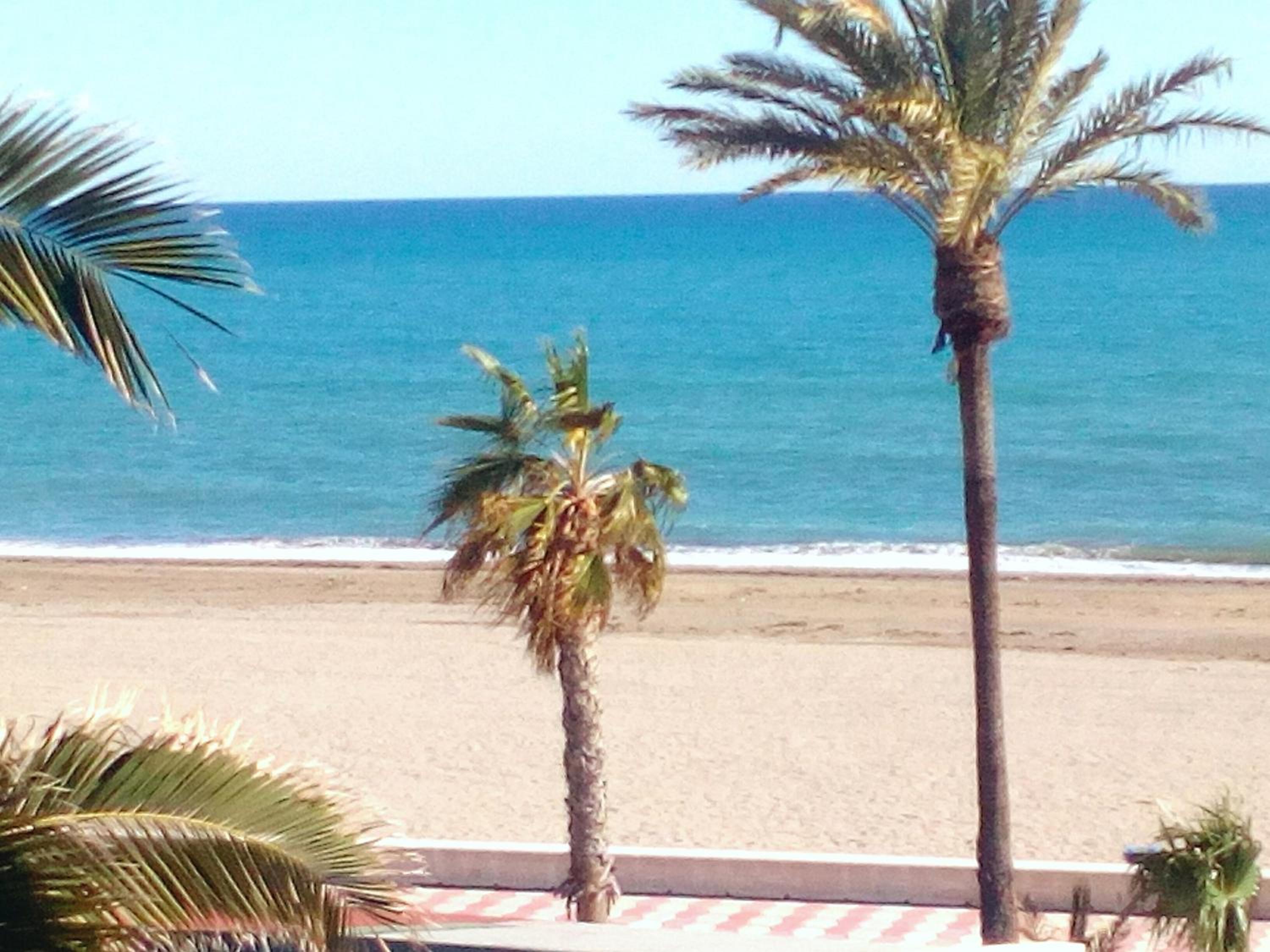 Estudio Frente Al Mar