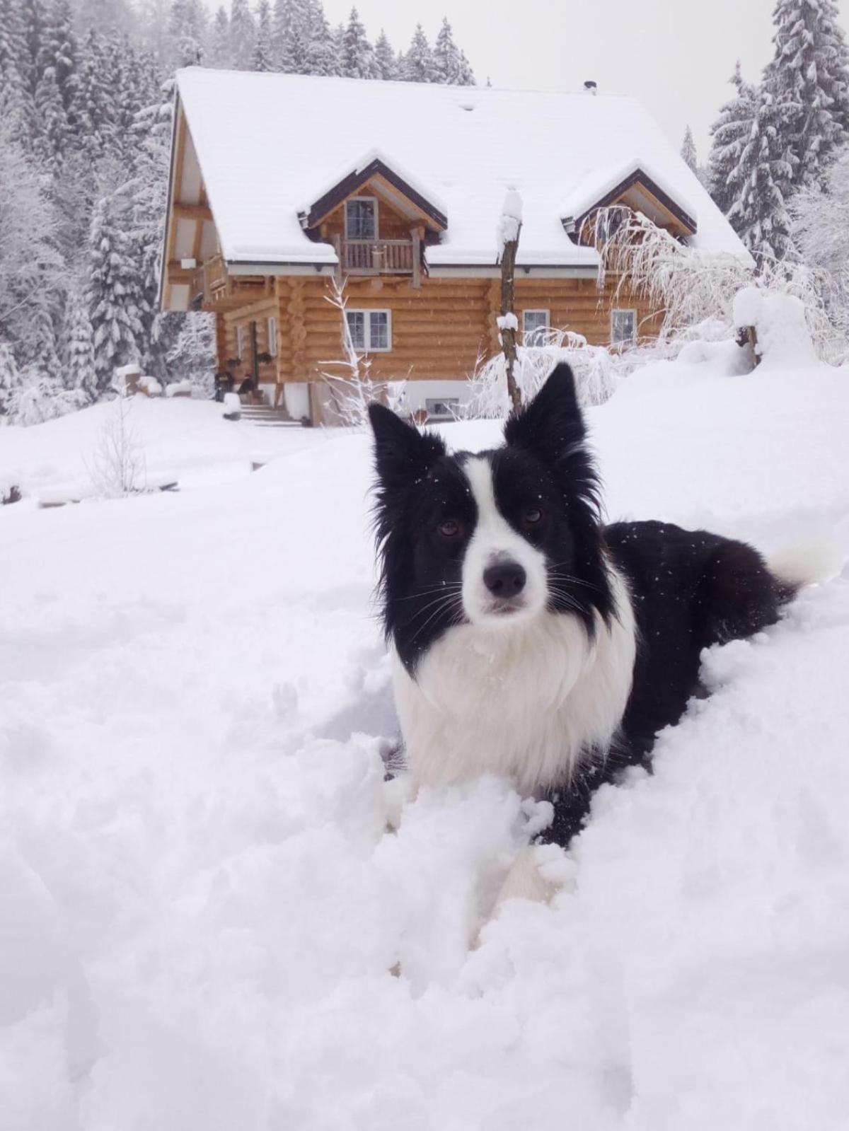 Chalet le Dorf