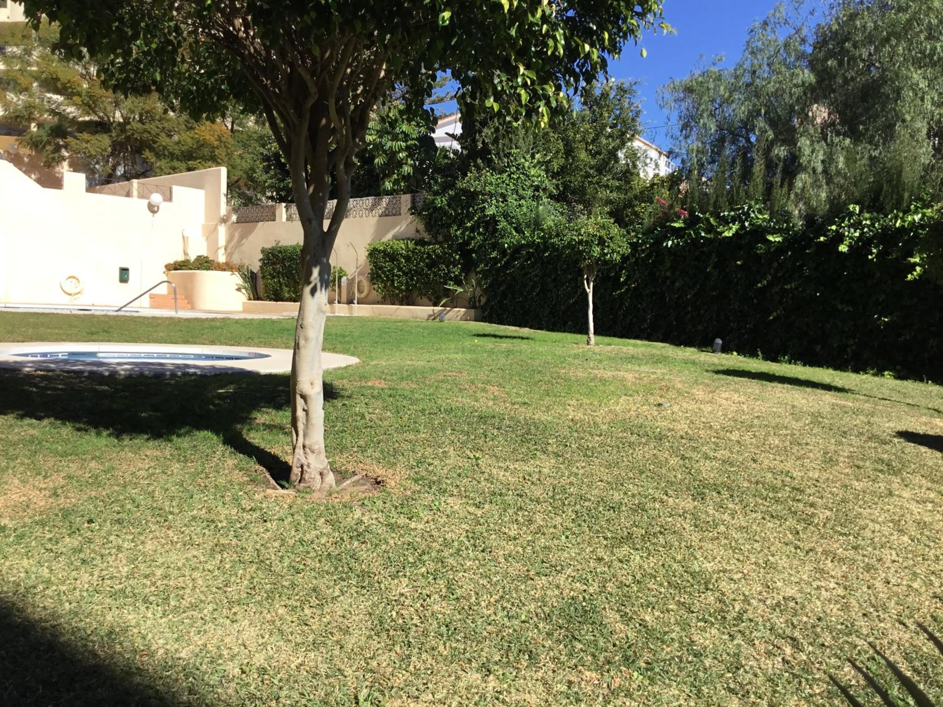 Fuengirola Apartment