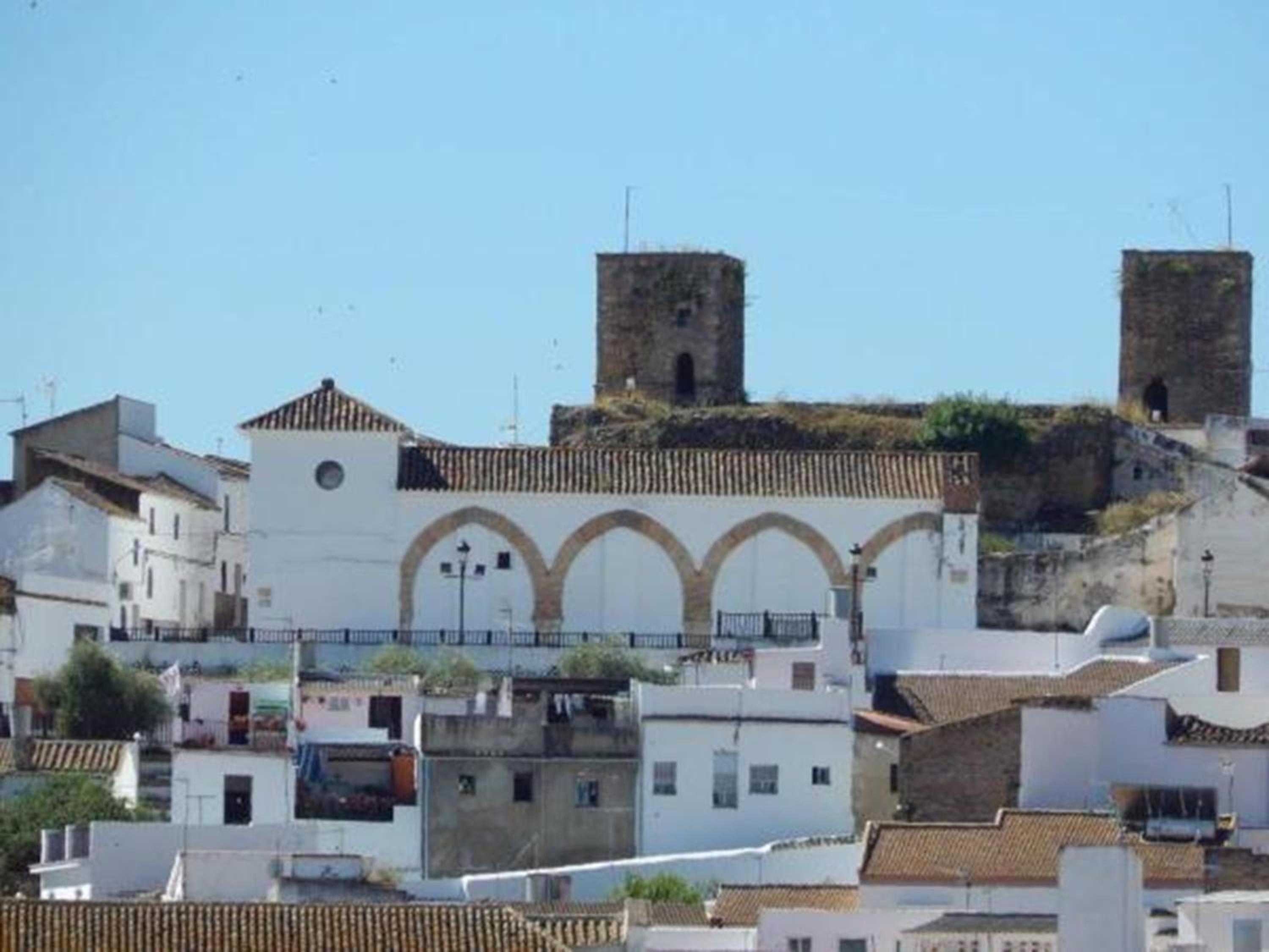 Photo 16