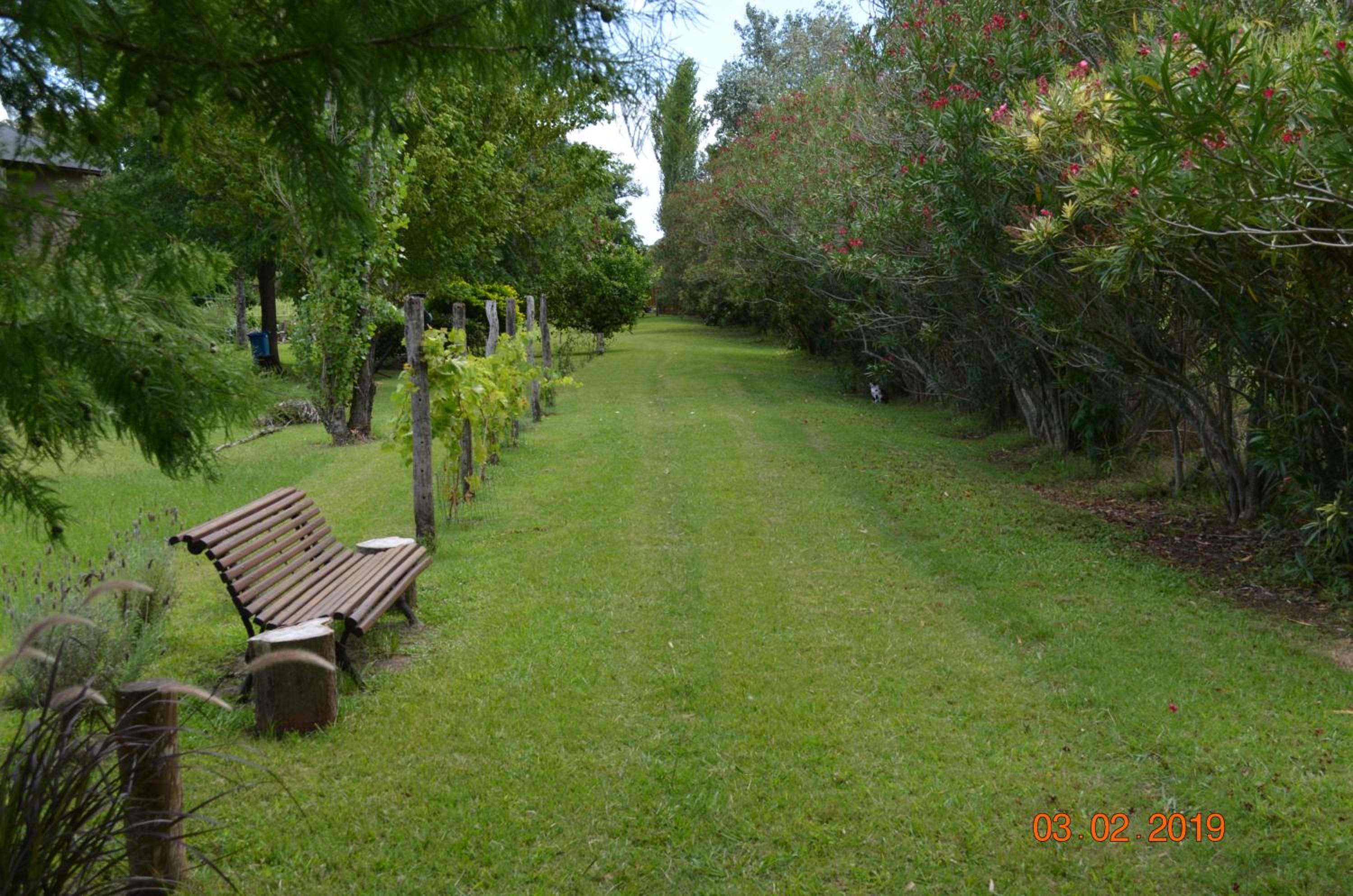 Photo 31