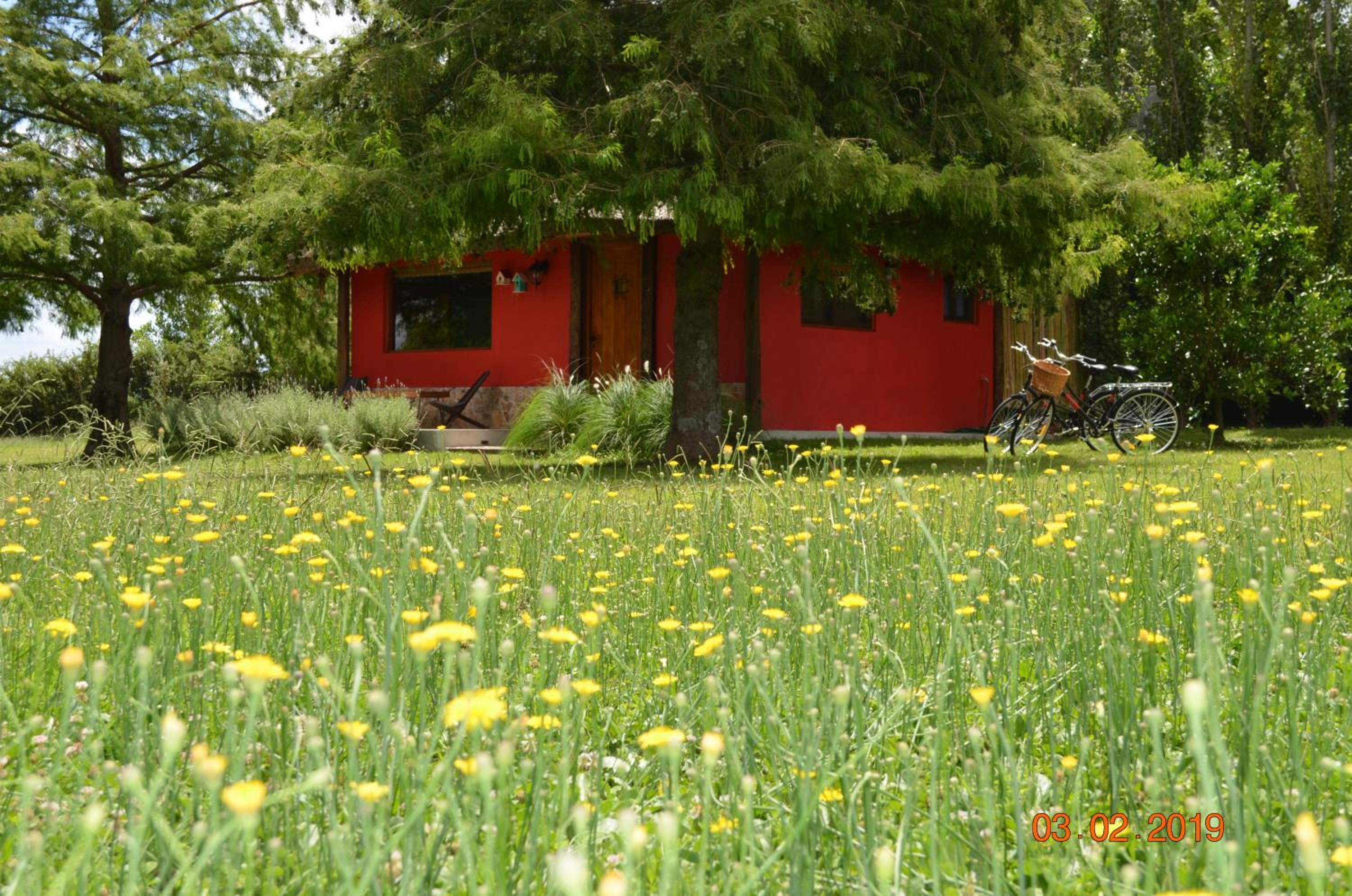 Photo 6