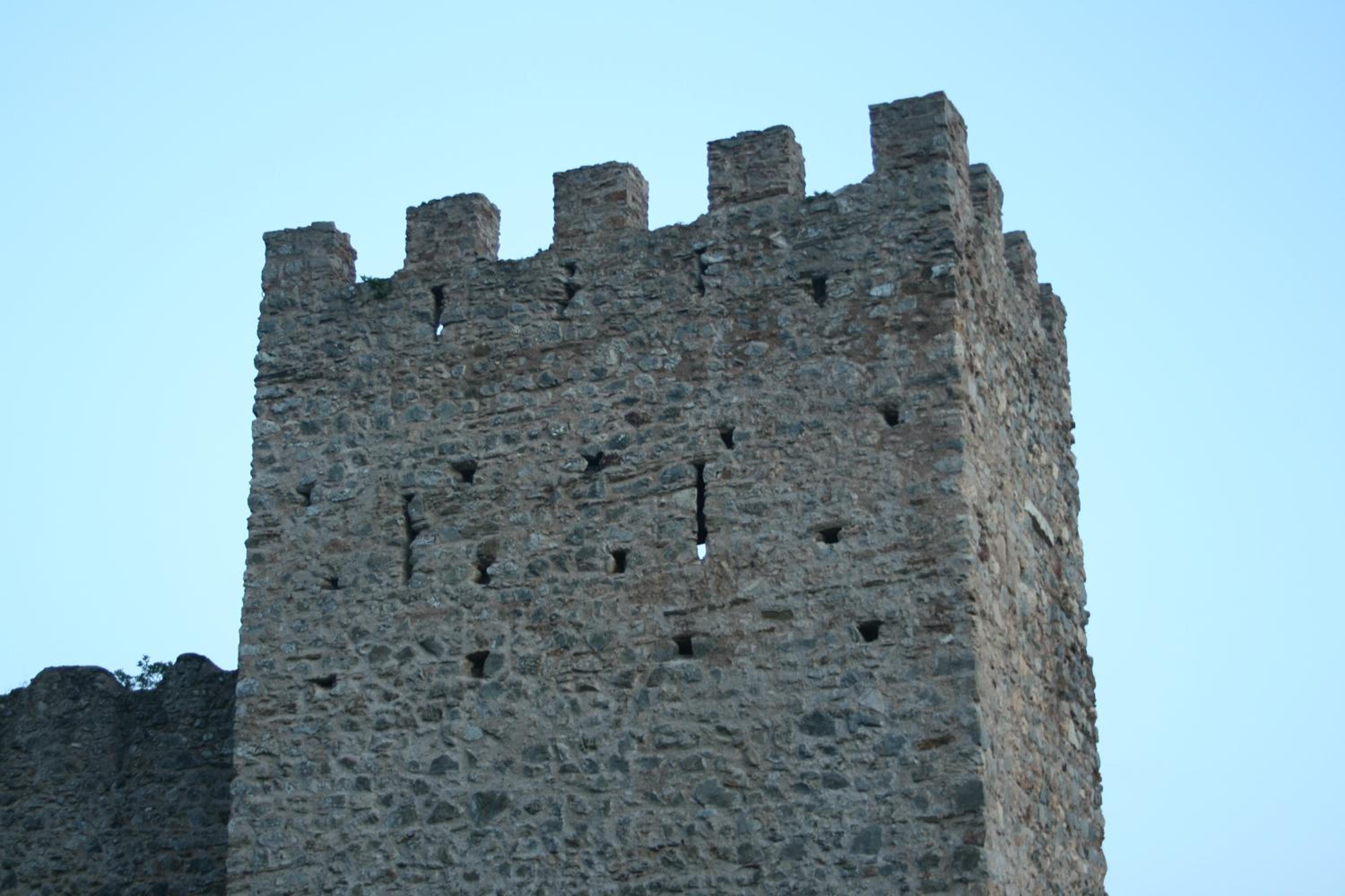 Photo 42