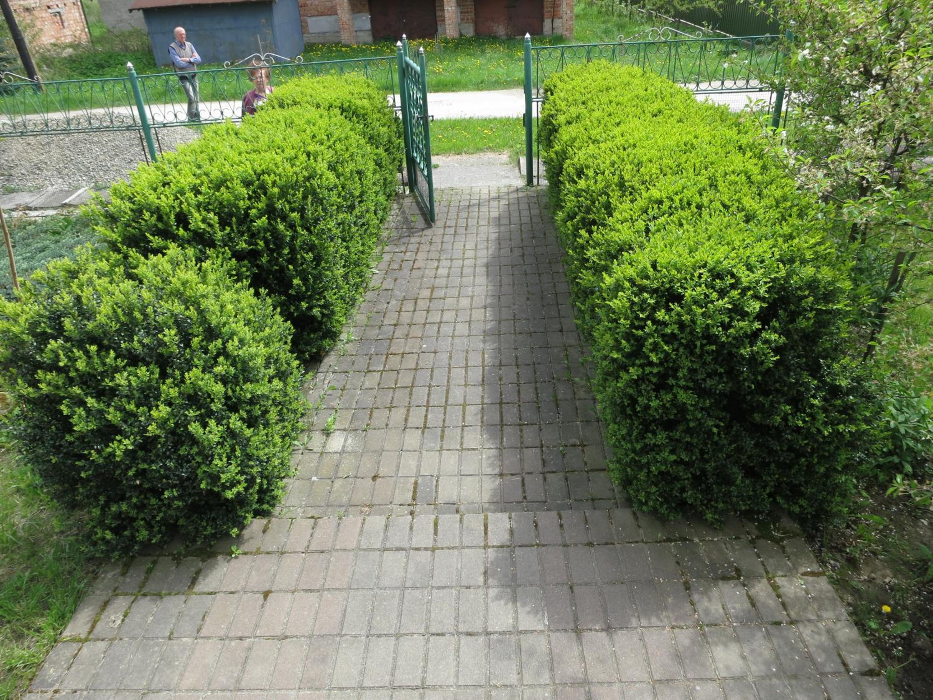 Photo 12