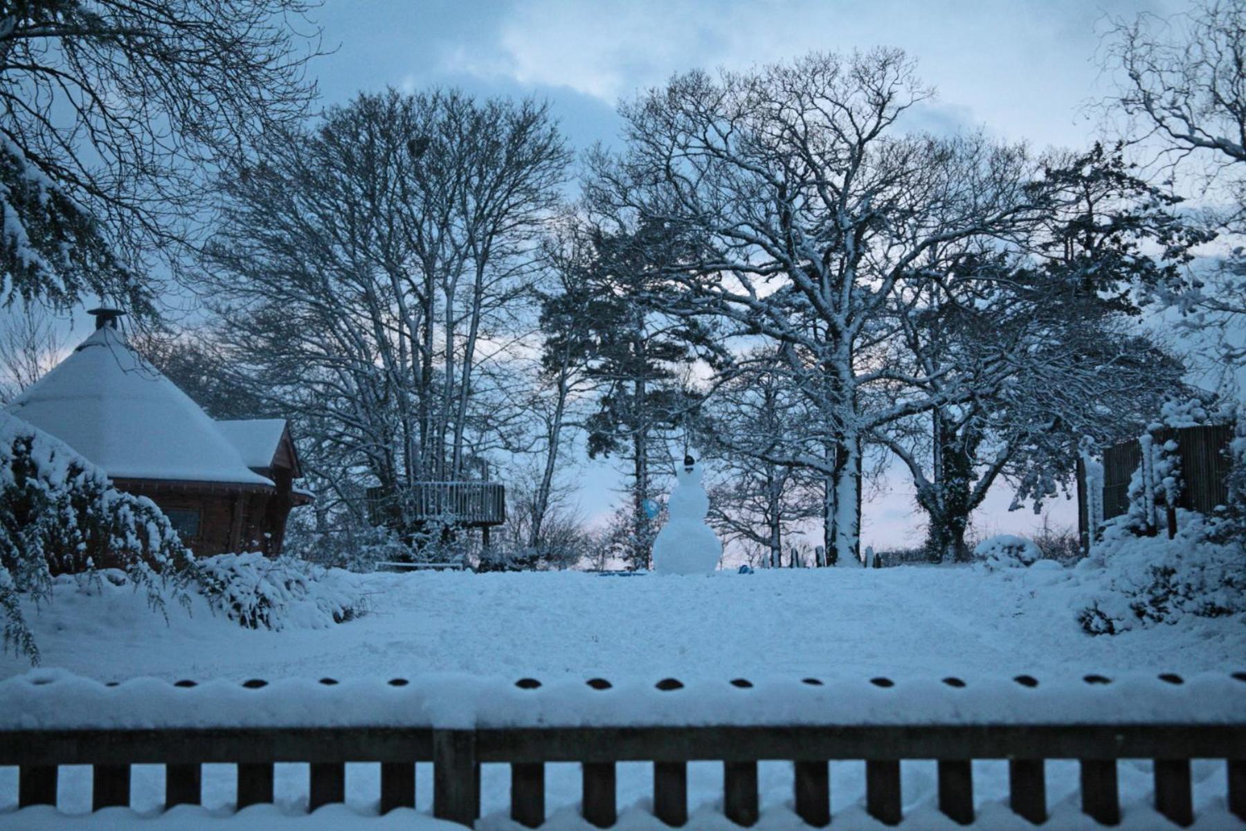 Okehampton Vacations - Lovaton Farmhouse - Property Image 99