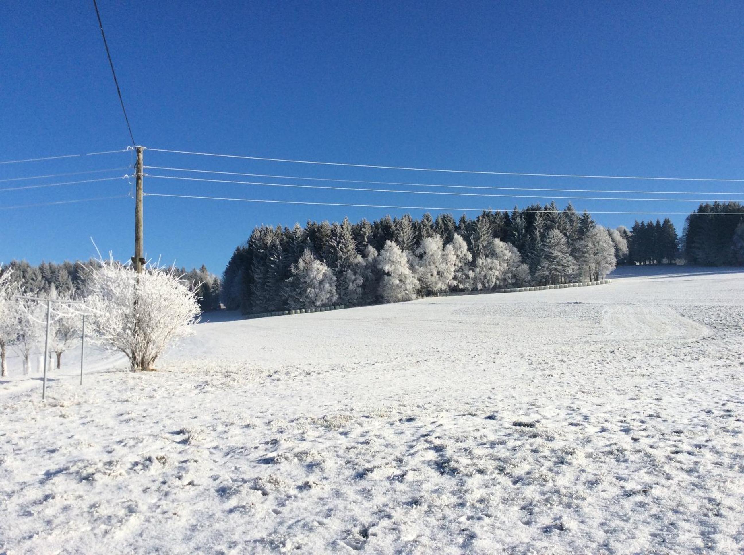 Ferienbauernhof Koller (Familie Hofer) - Urlaub am Bauernhof