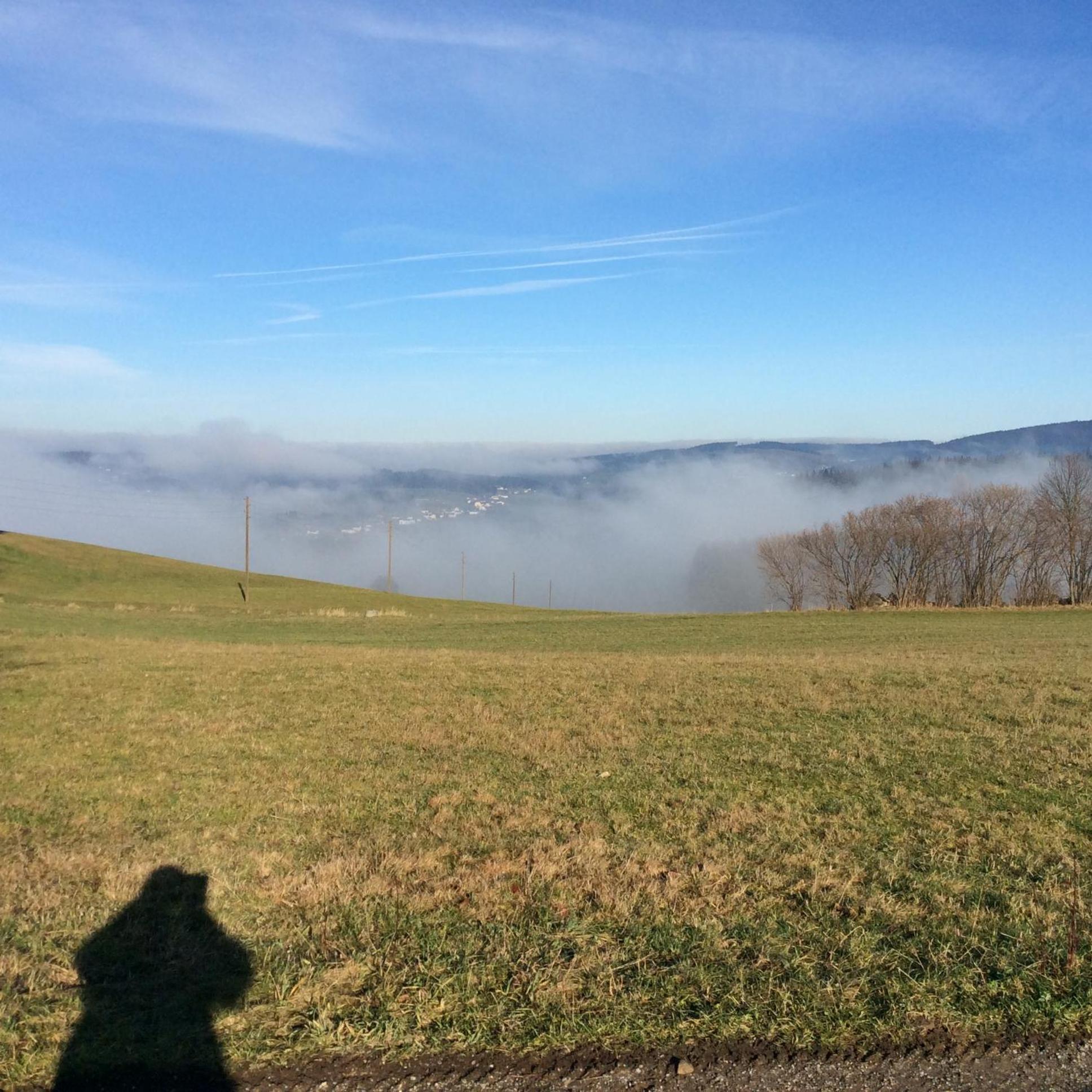 Ferienbauernhof Koller (Familie Hofer) - Urlaub am Bauernhof