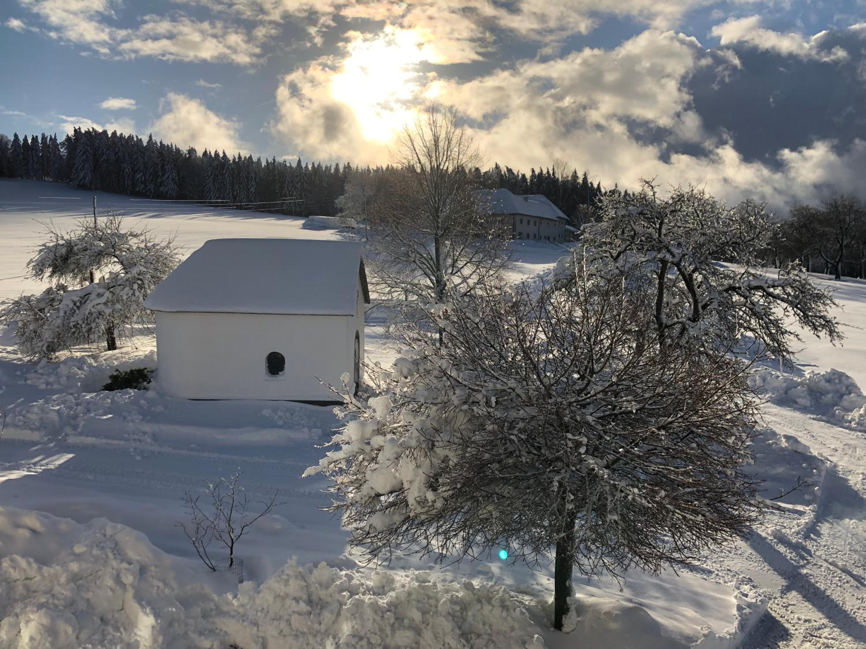 Ferienbauernhof Koller (Familie Hofer) - Urlaub am Bauernhof
