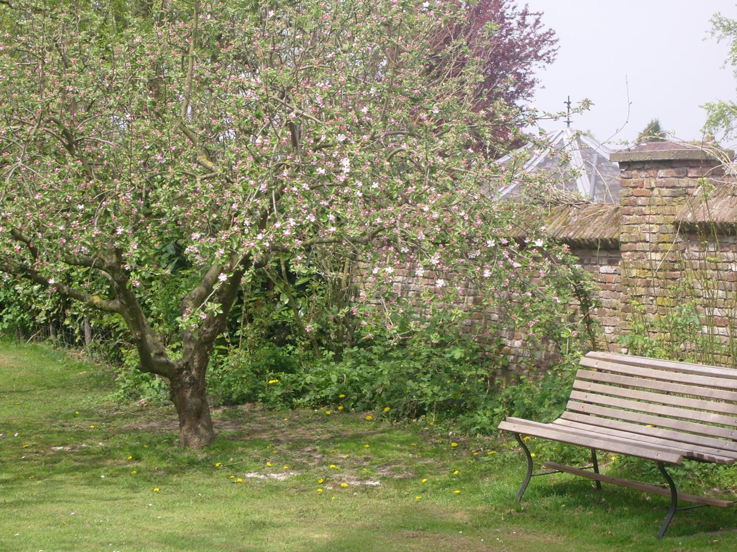 Photo 21