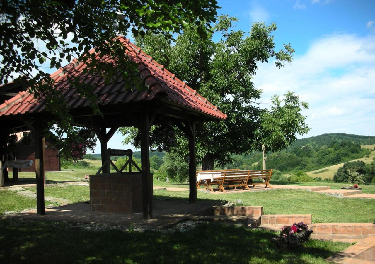 Photo 20