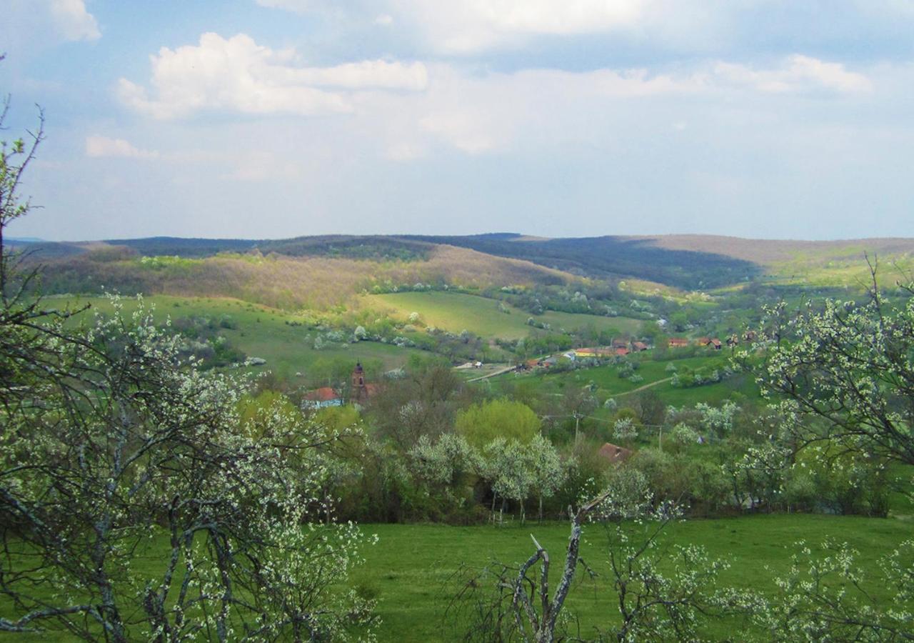 Photo 41