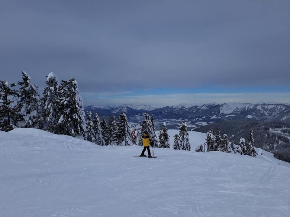 Dachstein view ski apartment