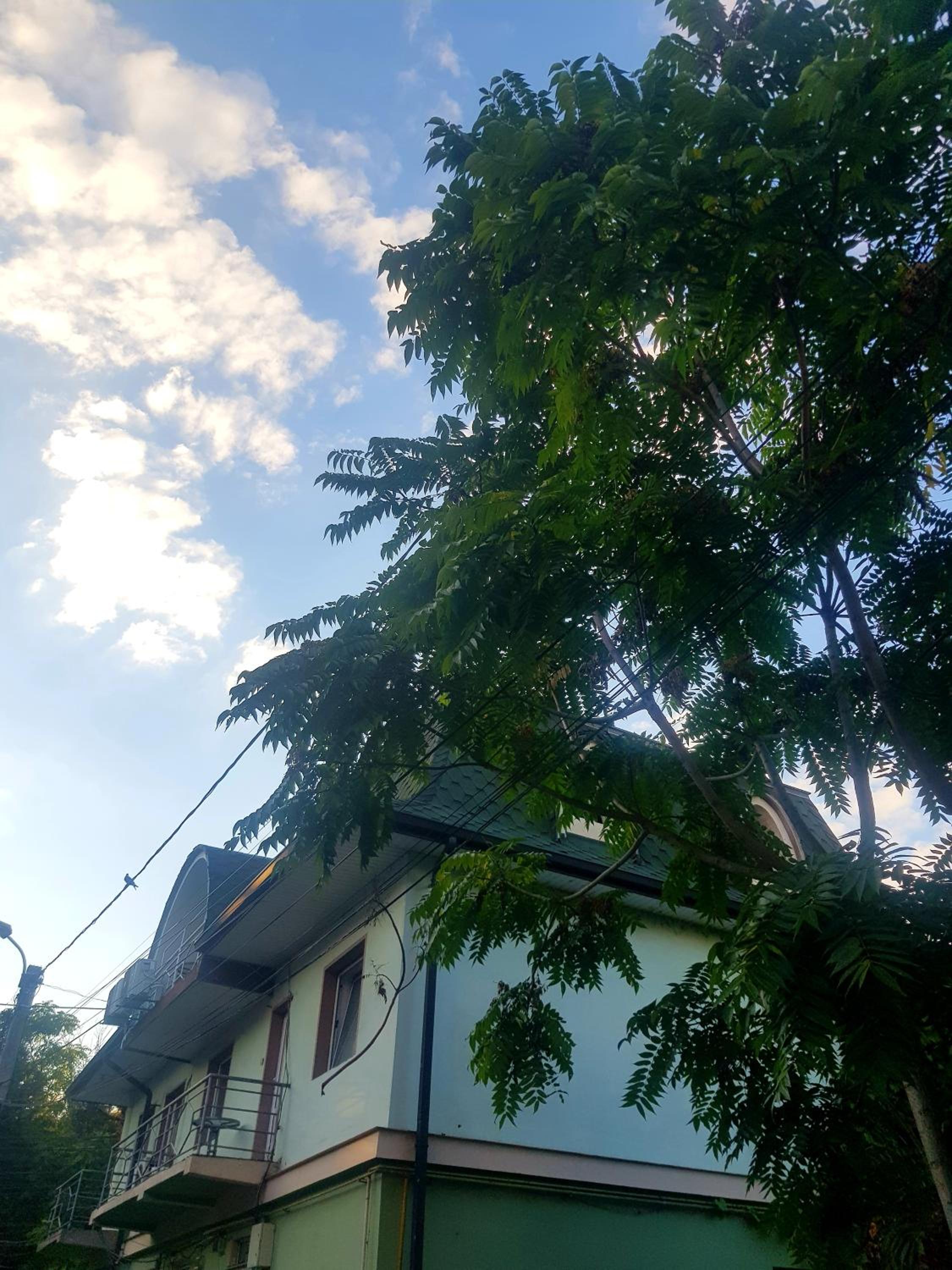 Photo 31