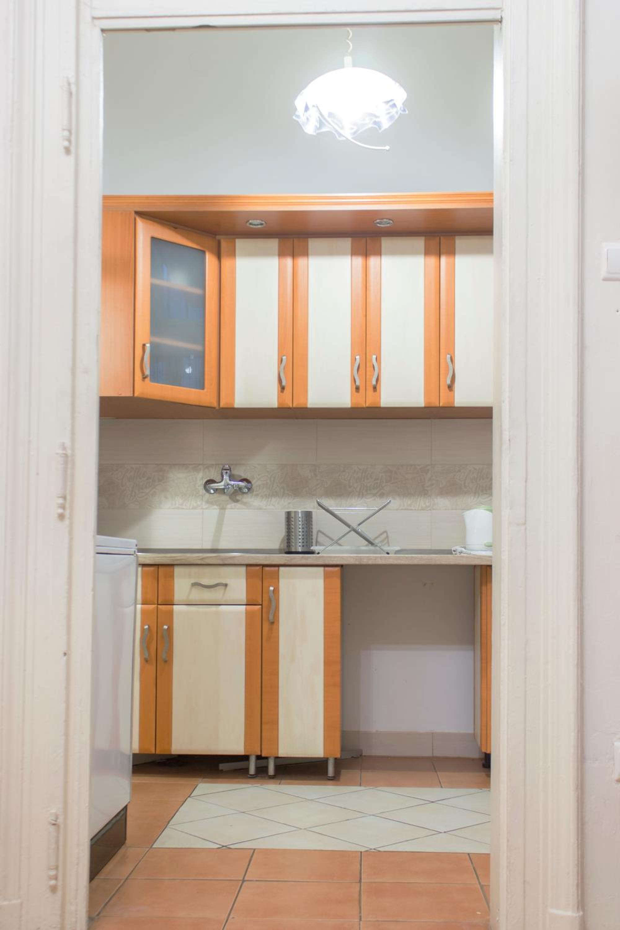 Lisa Apartment on the famous Dohany street view 4