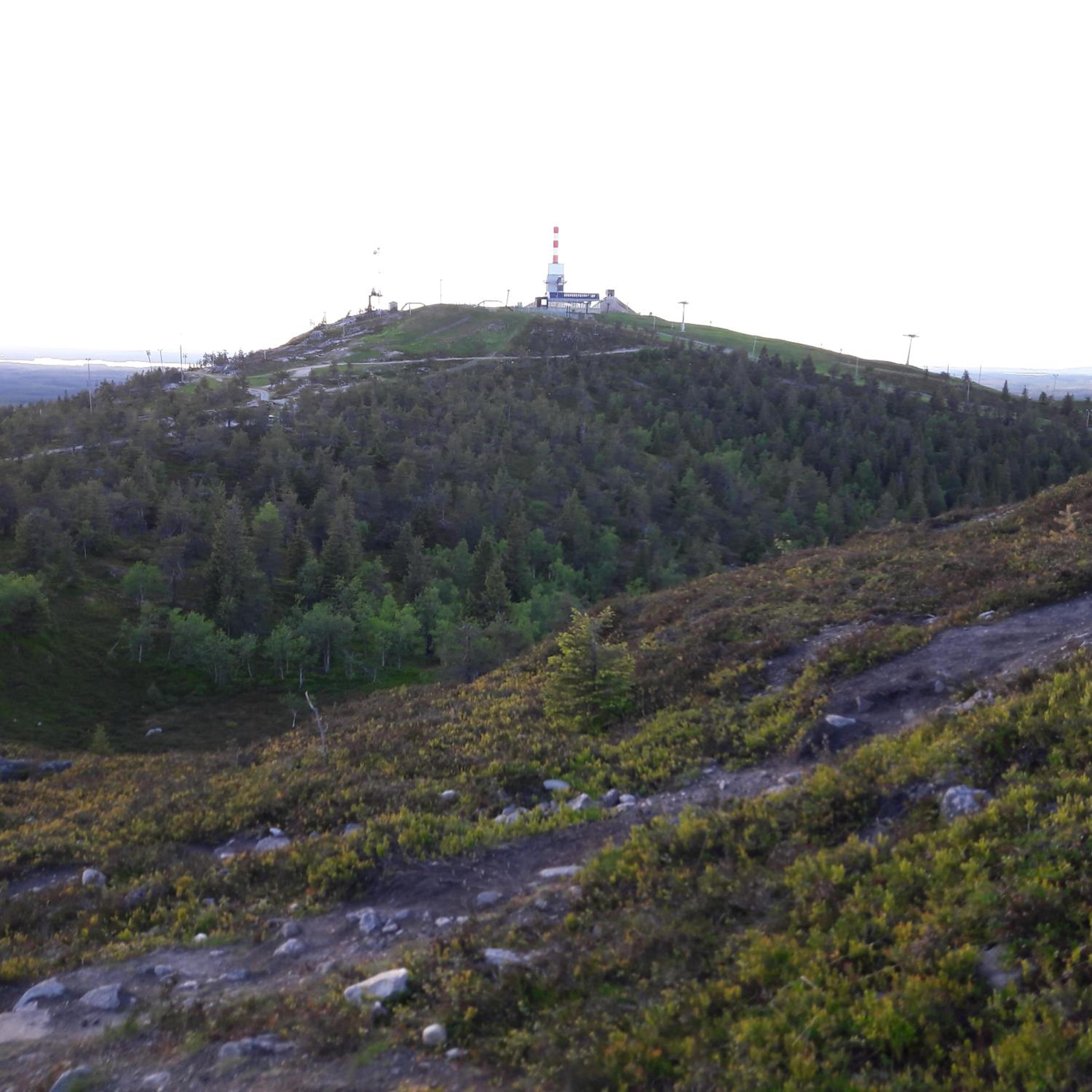 Rukanjuuri 3 view 3