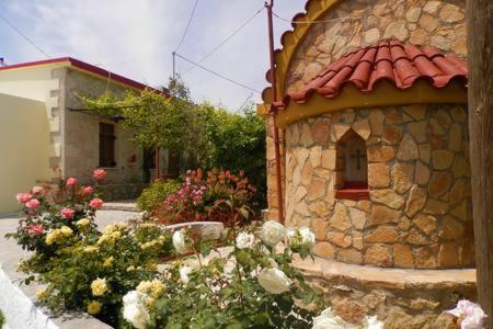 Photo 19