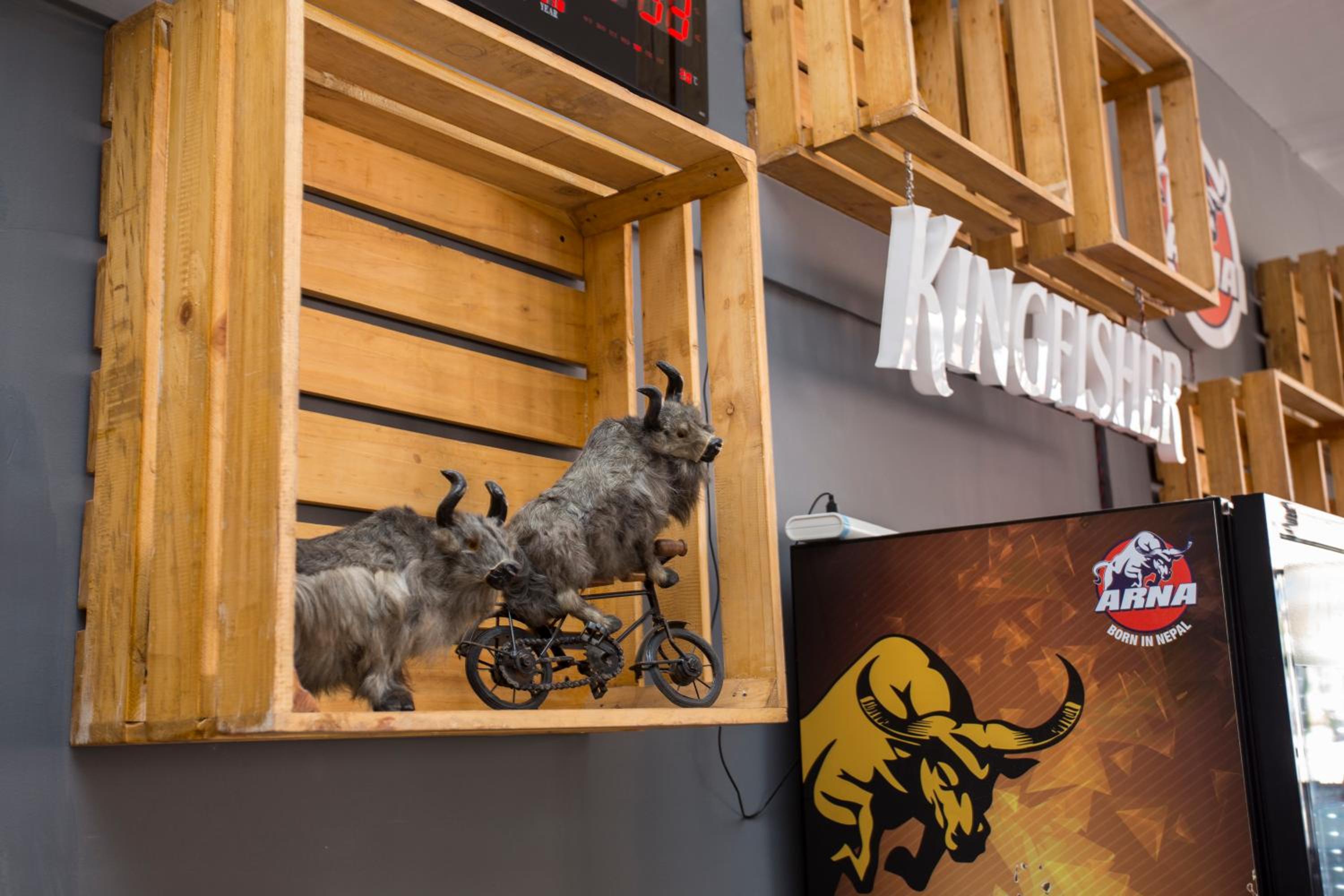 Yakety Yak Hostel
