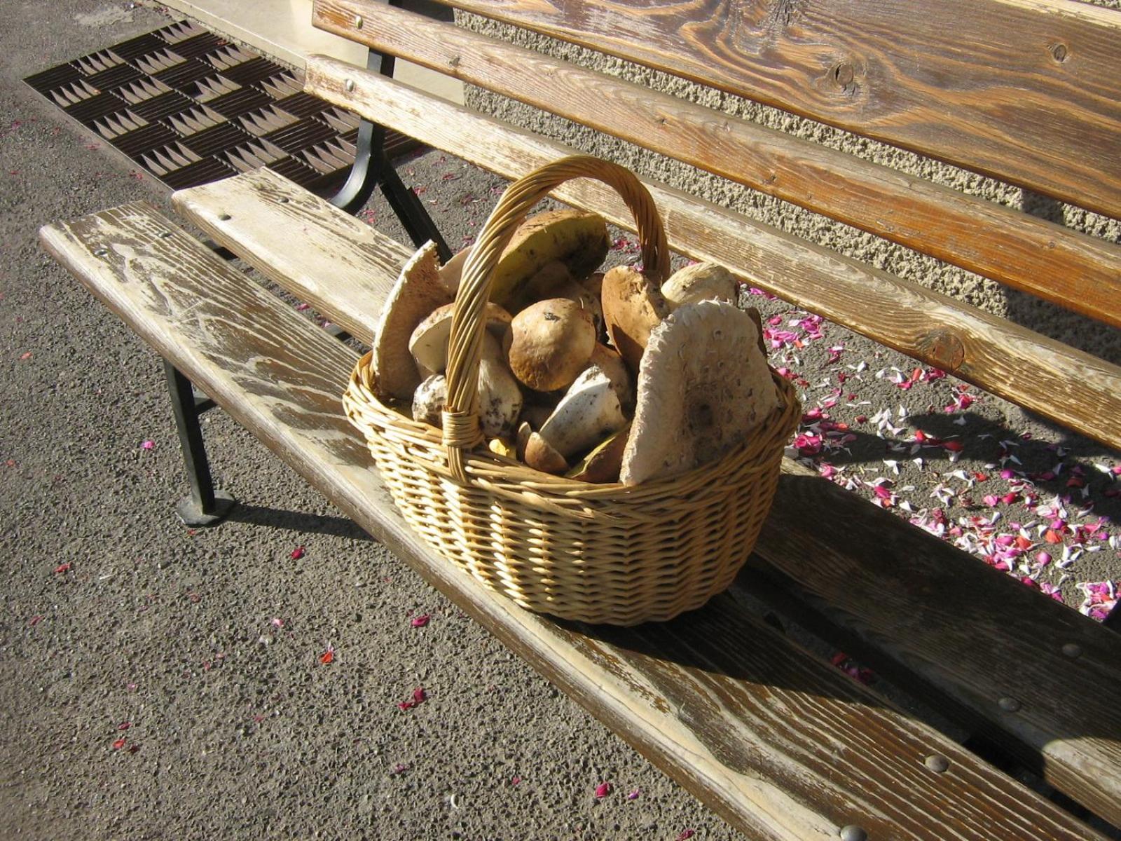 Photo 23