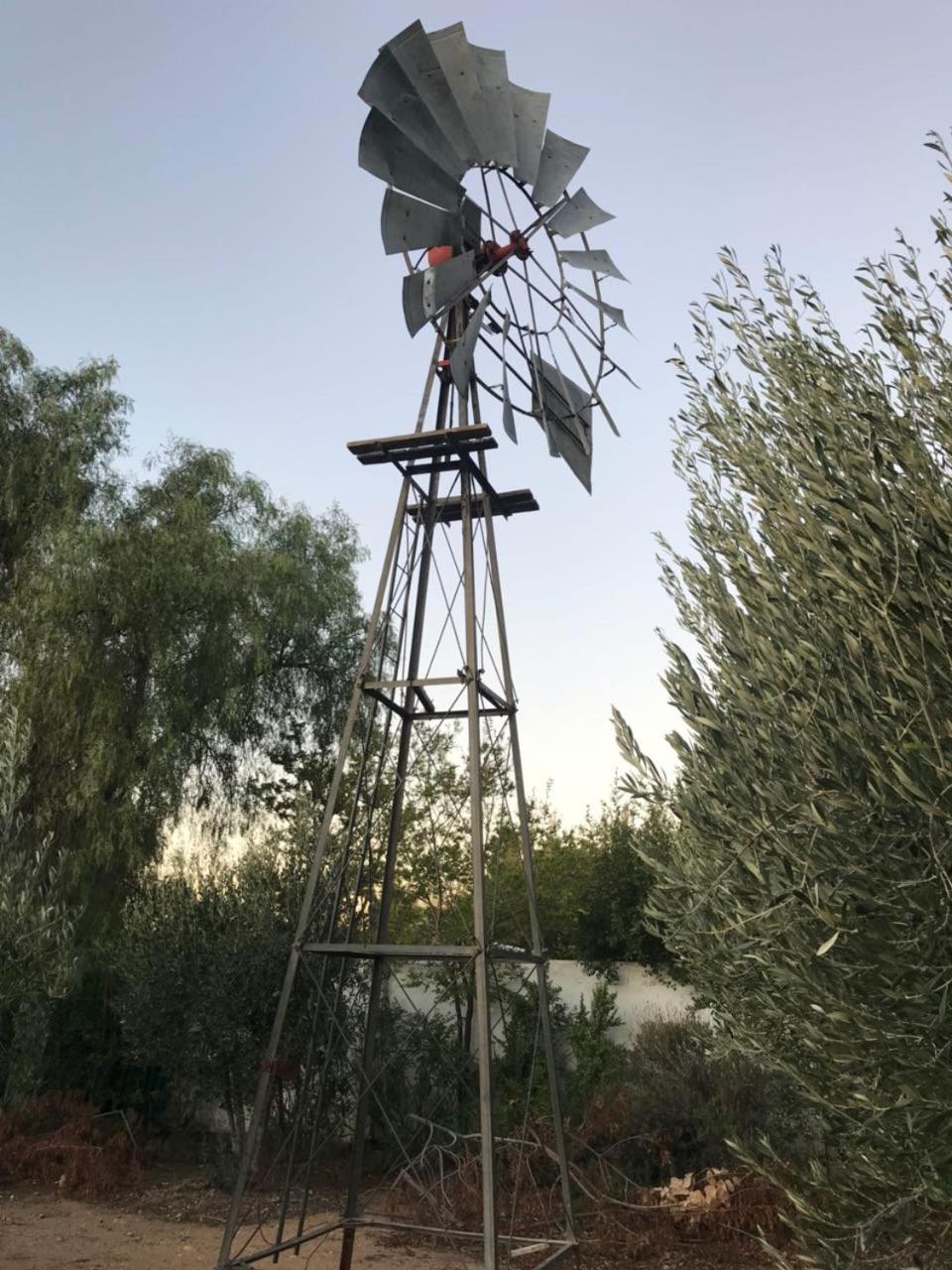 Photo 18
