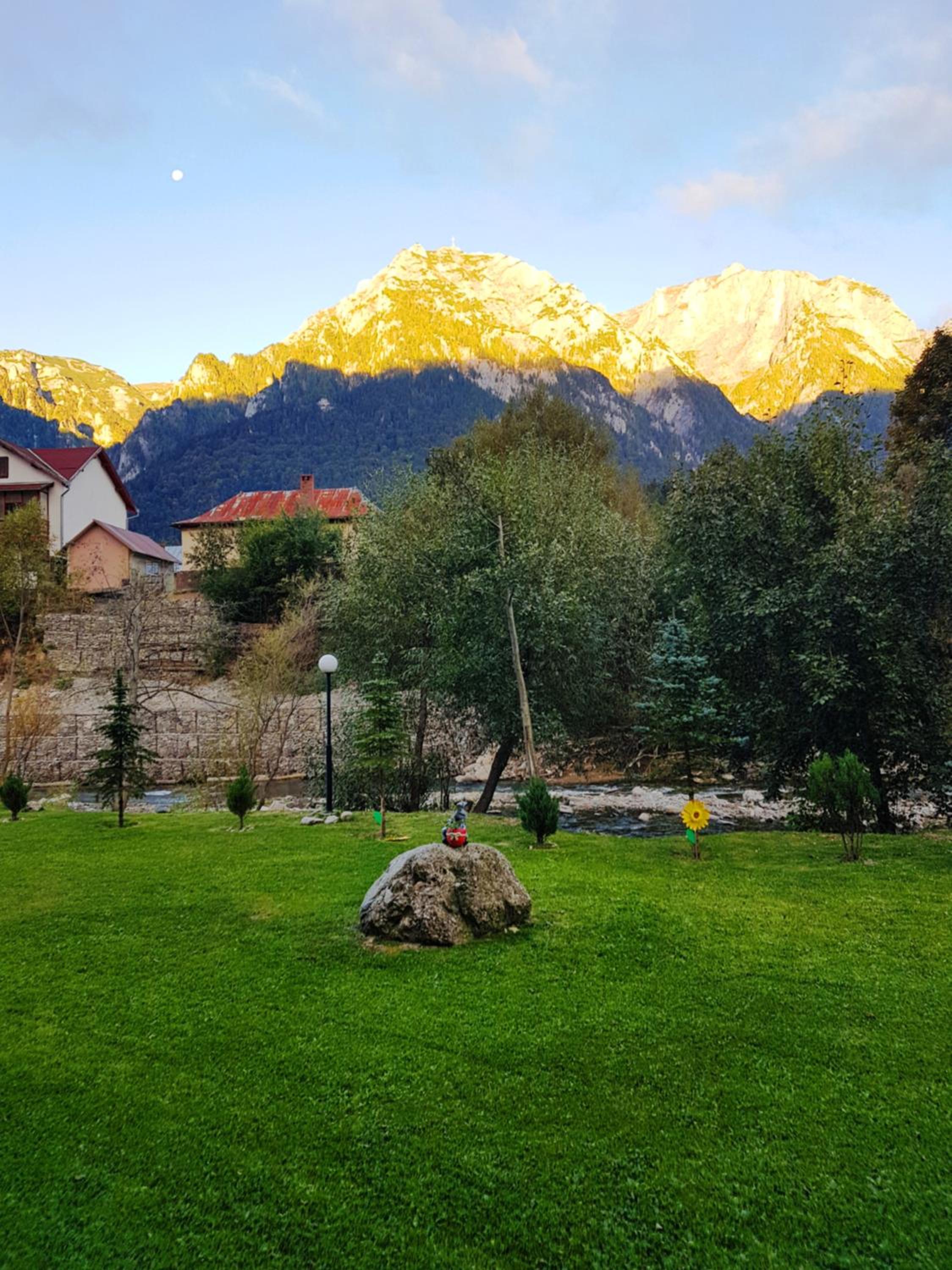 Apartament Golden Rose 1