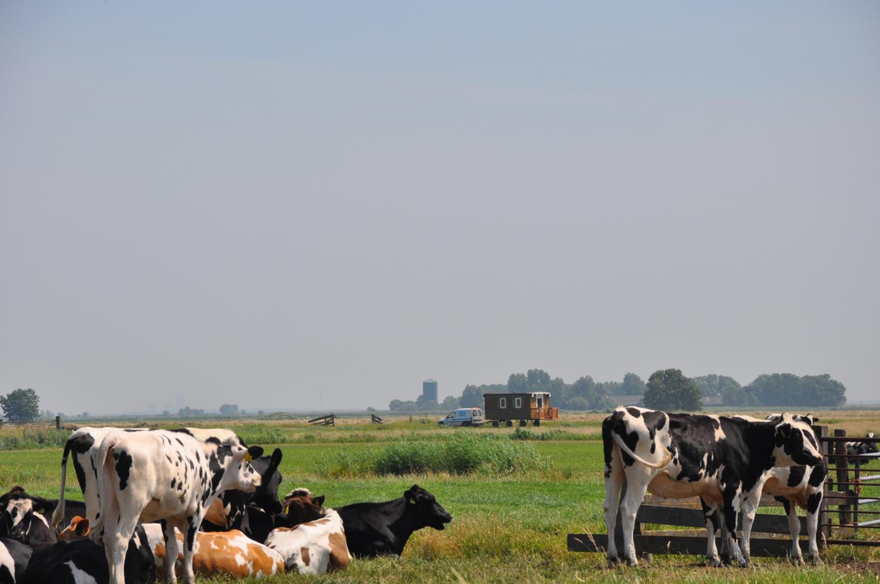 Your Cozy Waggon at the Cows' Paradise