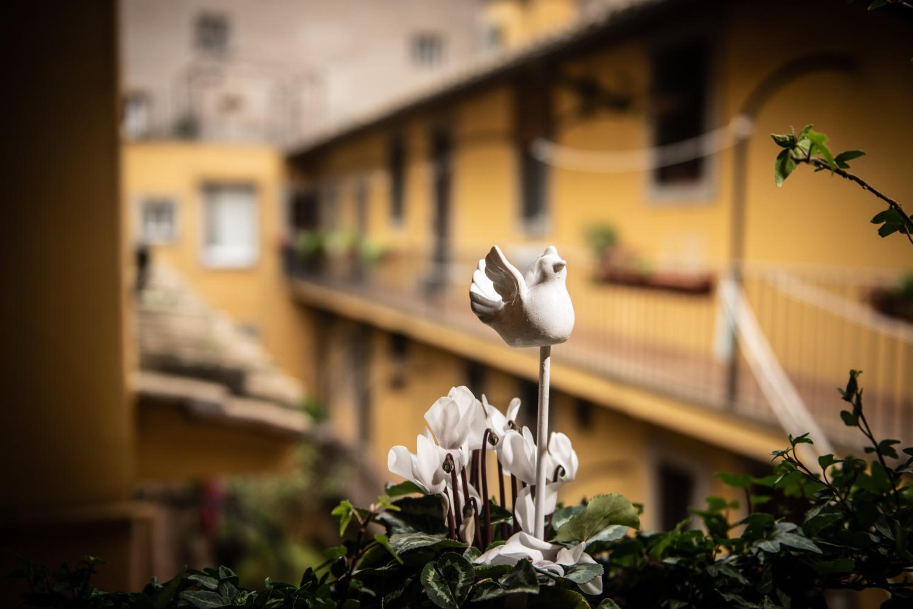 Sweet Campo de Fiori
